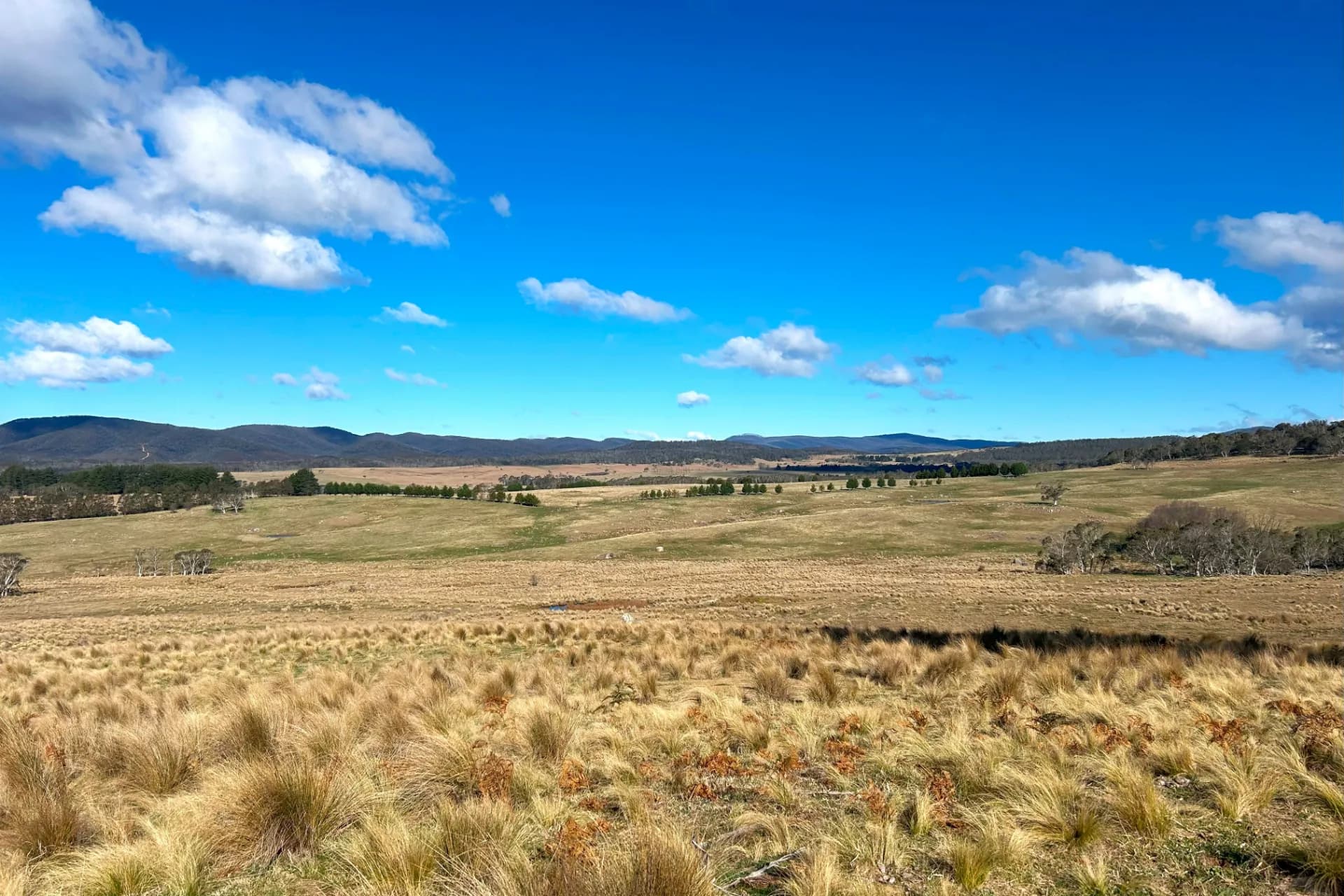 Lot 11 & Lot 128 Stoney Ridge Road, Jinden via, Braidwood, NSW, Jinden Via - Image 1