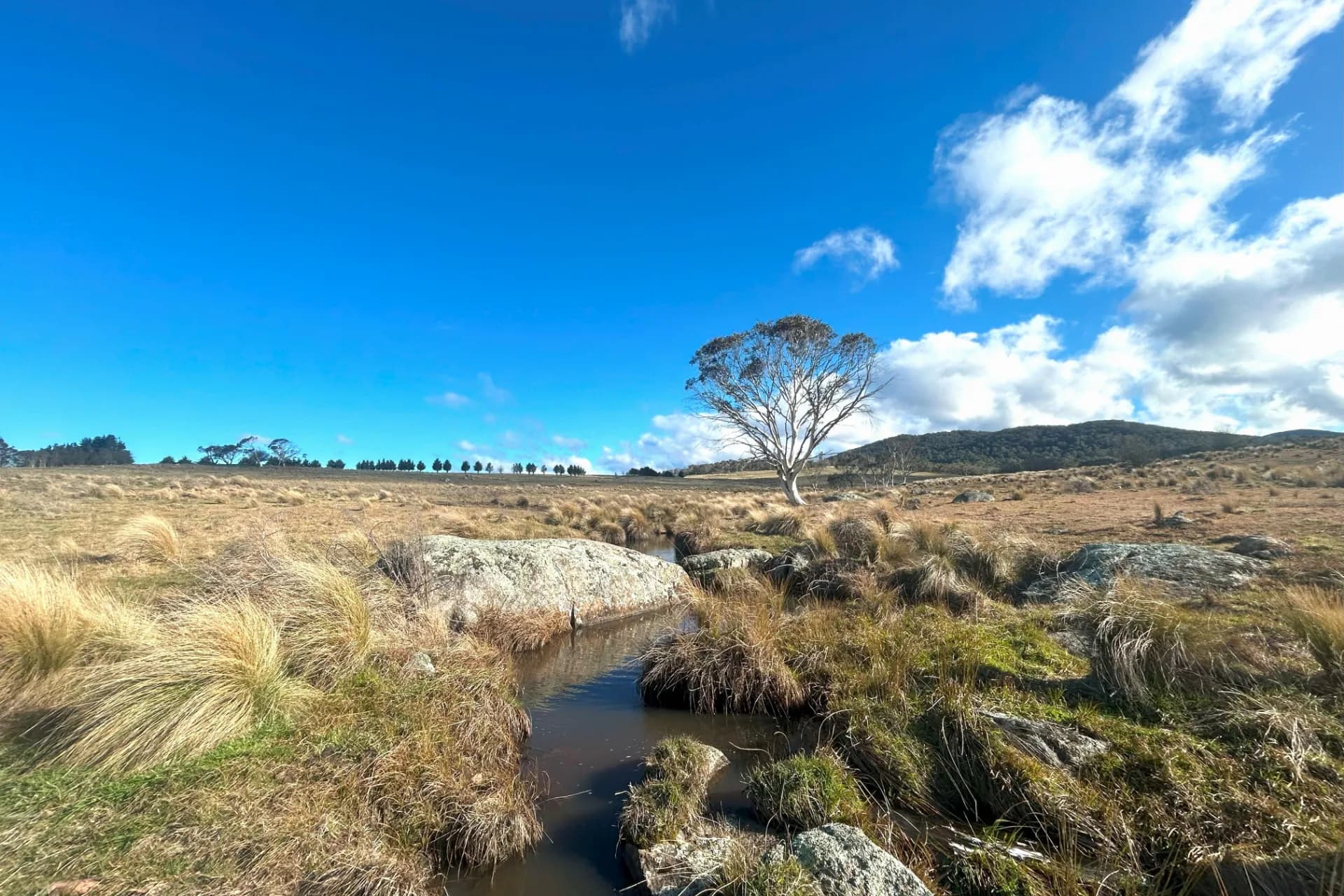 Lot 11 & Lot 128 Stoney Ridge Road, Jinden via, Braidwood, NSW, Jinden Via - Thumbnail 2
