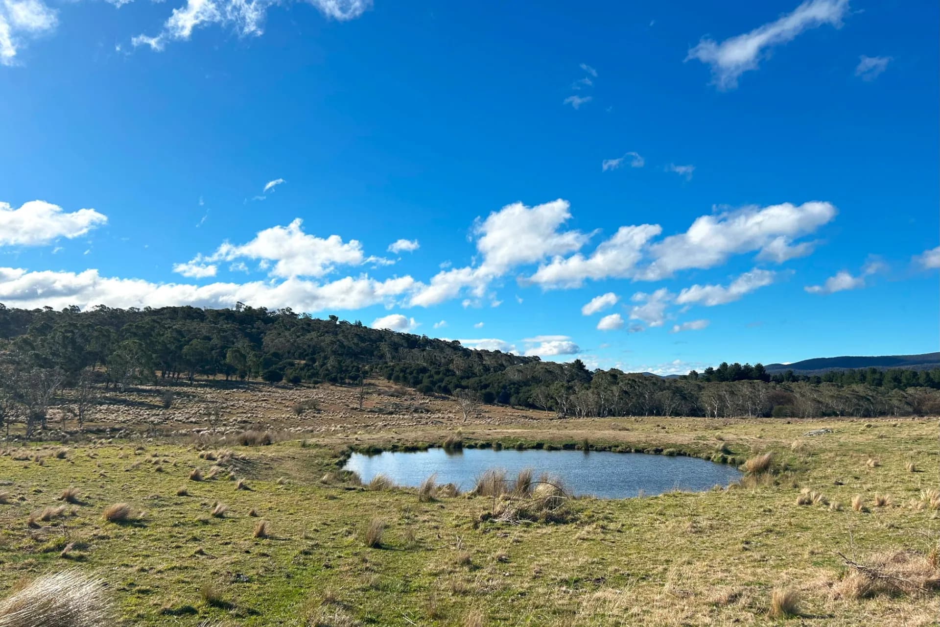 Lot 11 & Lot 128 Stoney Ridge Road, Jinden via, Braidwood, NSW, Jinden Via - Thumbnail 3