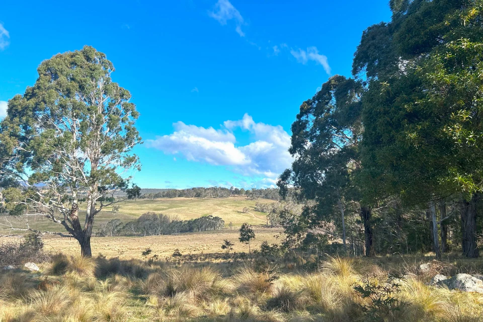 Lot 11 & Lot 128 Stoney Ridge Road, Jinden via, Braidwood, NSW, Jinden Via - Thumbnail 4