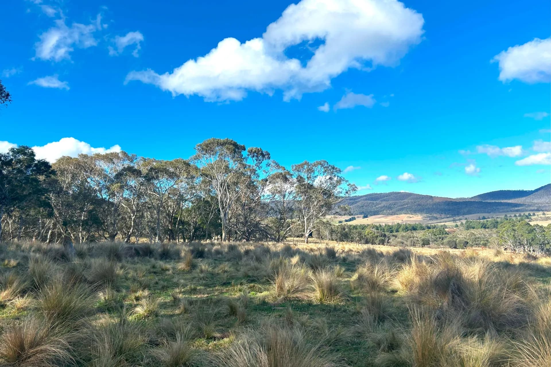 Lot 11 & Lot 128 Stoney Ridge Road, Jinden via, Braidwood, NSW, Jinden Via - Thumbnail 6