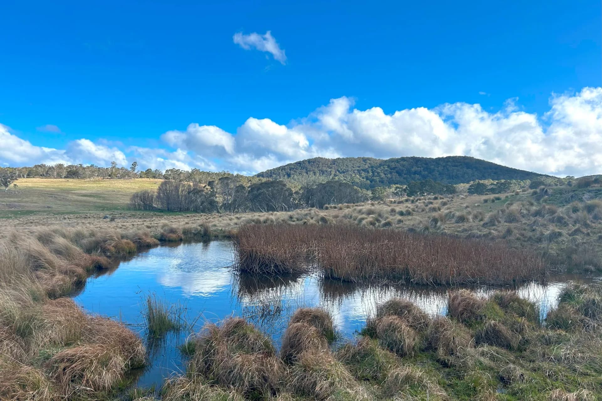 Lot 11 & Lot 128 Stoney Ridge Road, Jinden via, Braidwood, NSW, Jinden Via - Thumbnail 7