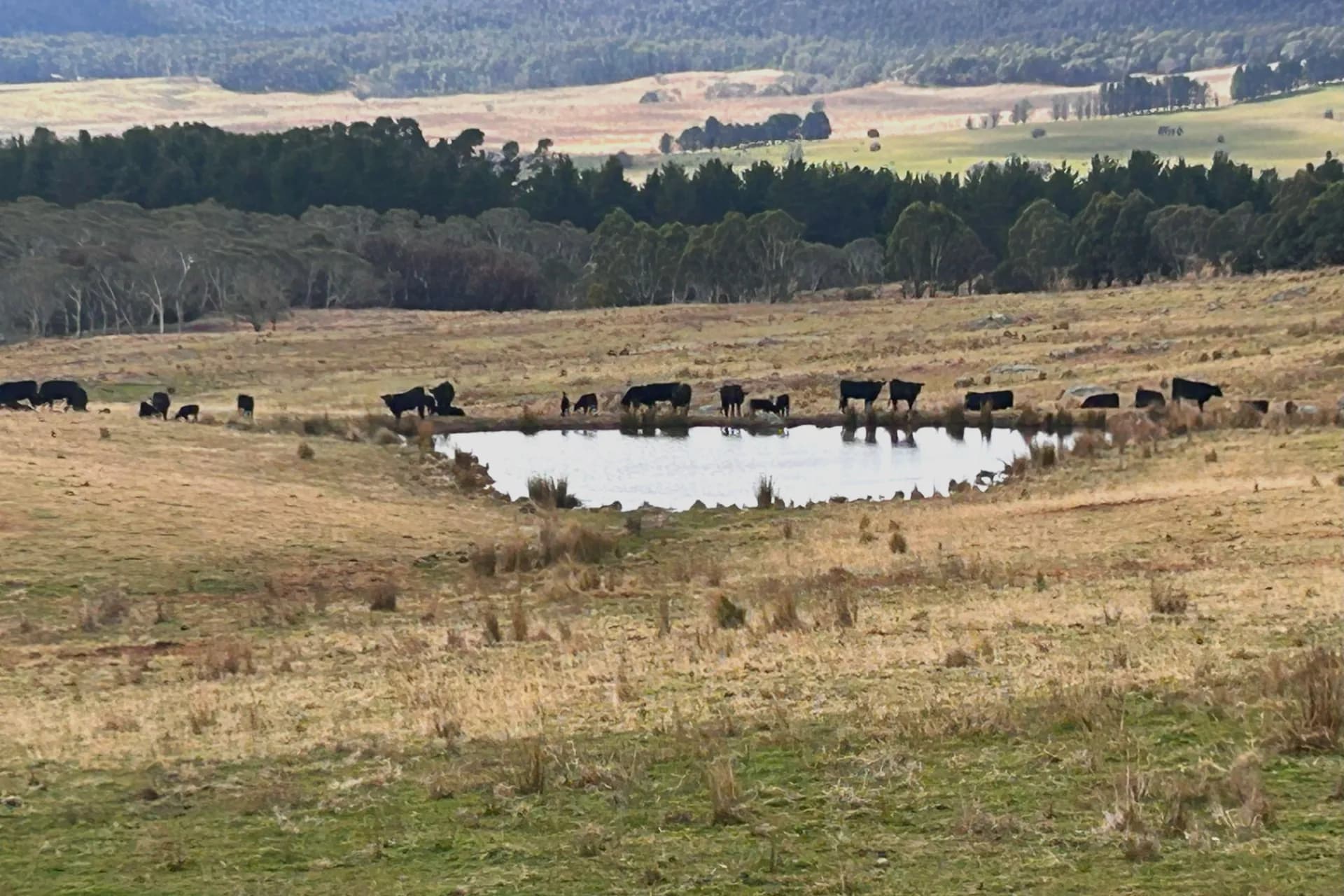 Lot 11 & Lot 128 Stoney Ridge Road, Jinden via, Braidwood, NSW, Jinden Via - Thumbnail 8