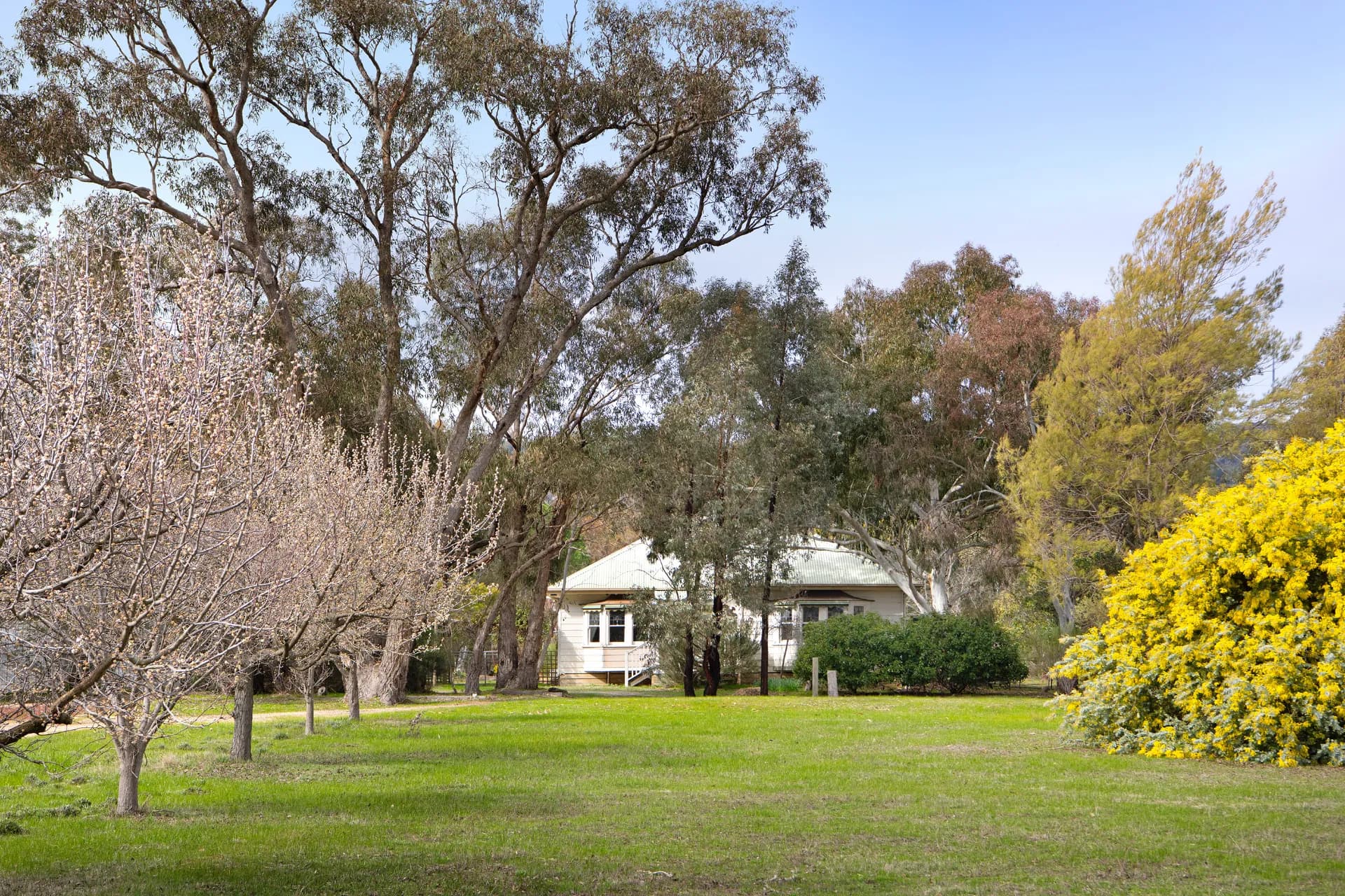 196 Eagles Road, Harcourt - Image 1