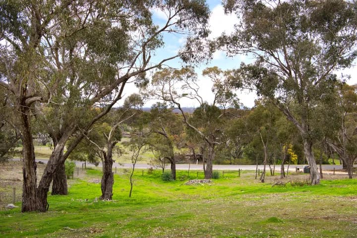 92 Parkins Reef Road, Maldon, VIC, Maldon - Image 1
