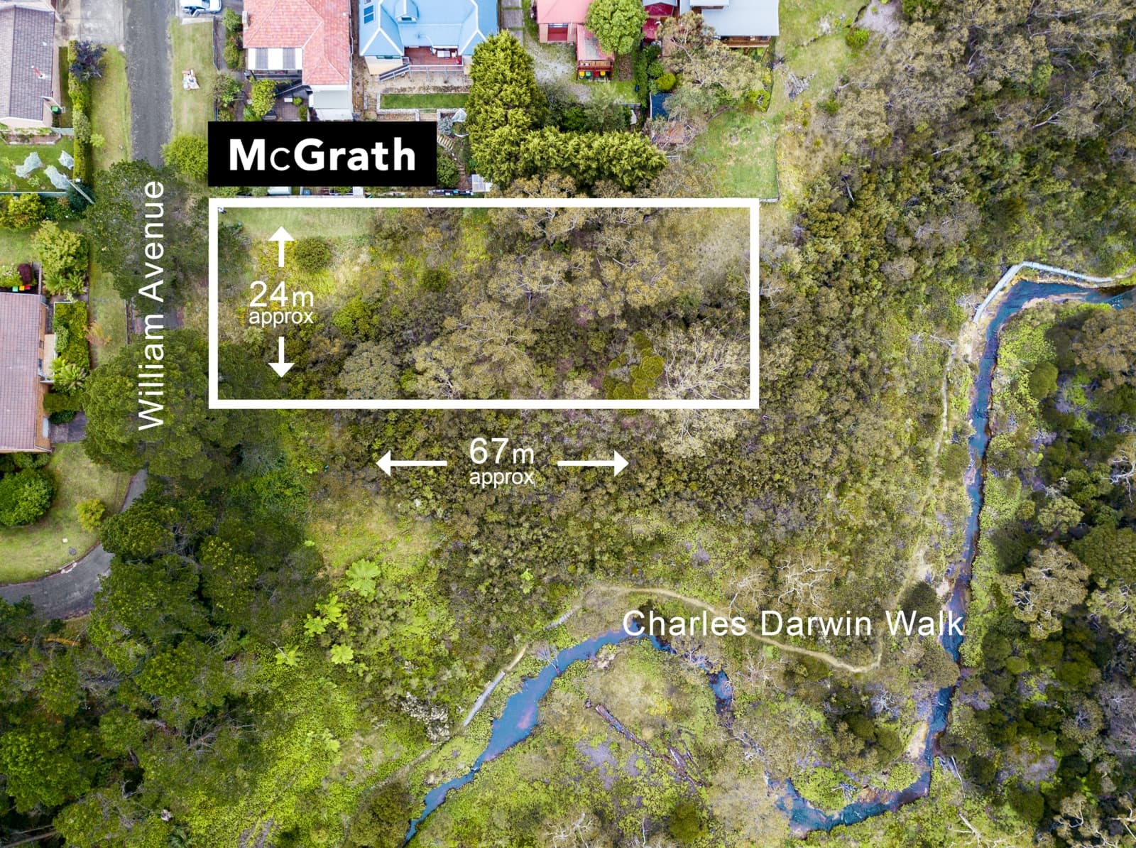 4 William Avenue,Wentworth Falls, Wentworth Falls - Image 1