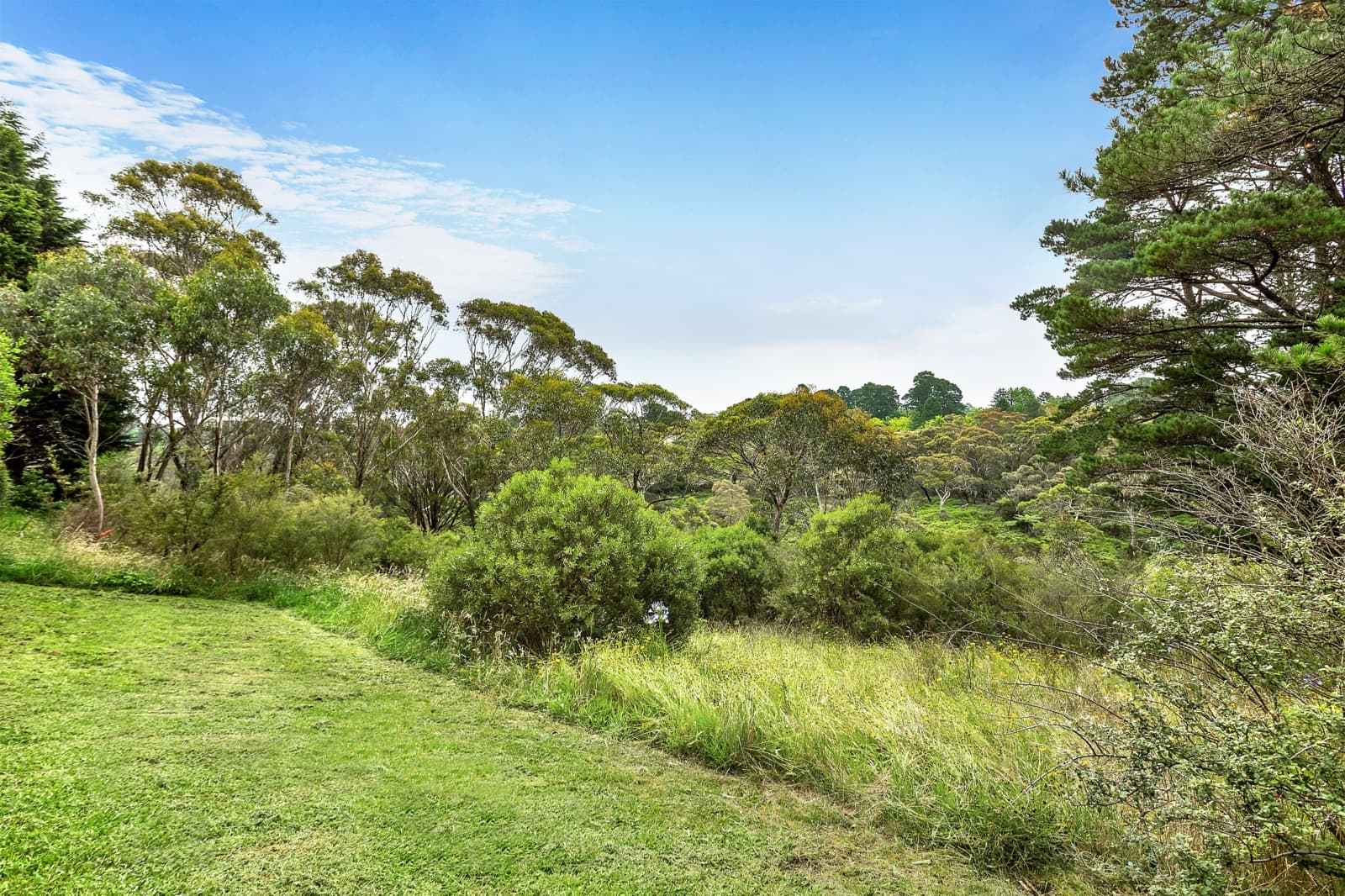 4 William Avenue,Wentworth Falls, Wentworth Falls - Thumbnail 2