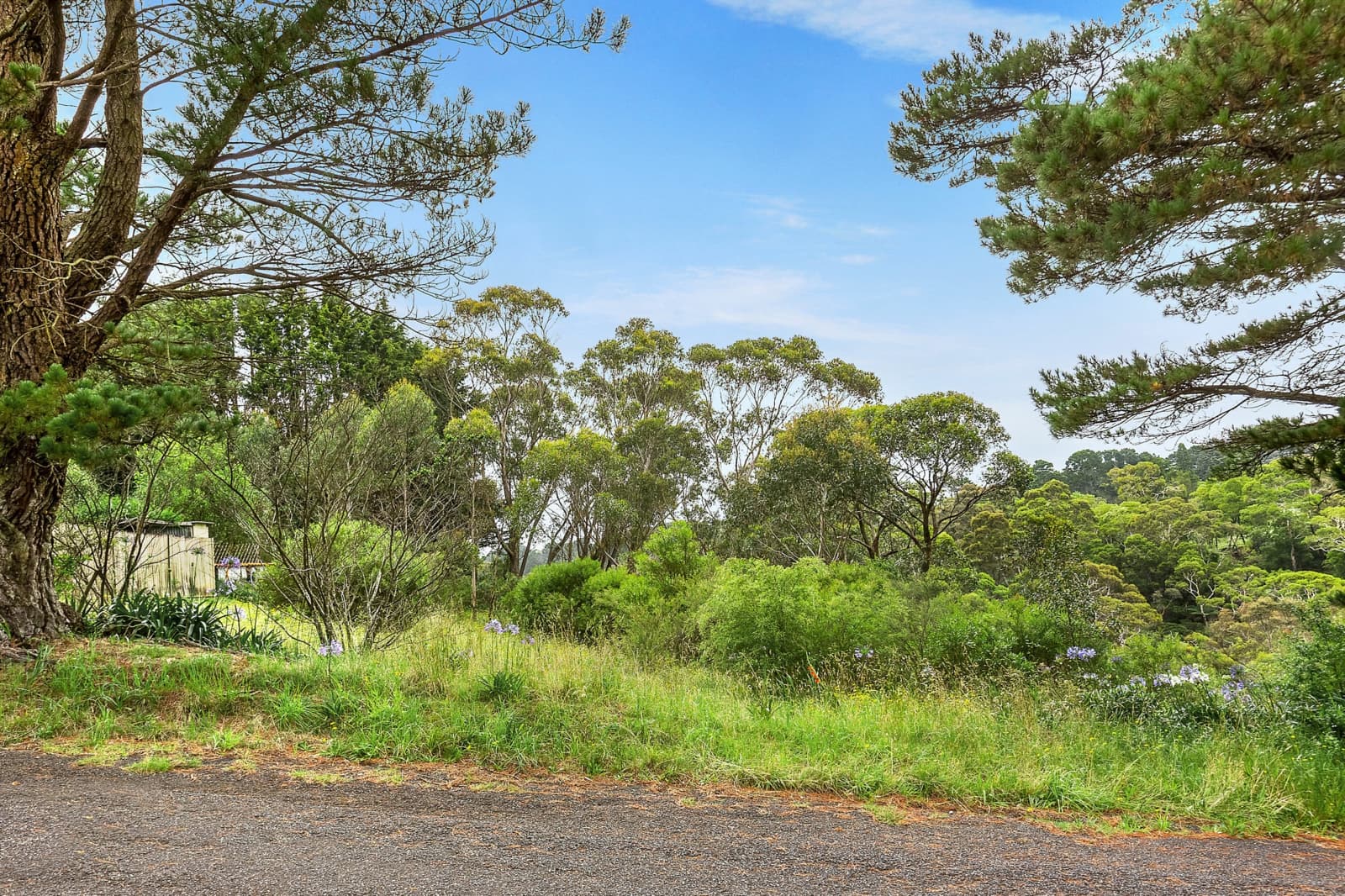 4 William Avenue,Wentworth Falls, Wentworth Falls - Thumbnail 4