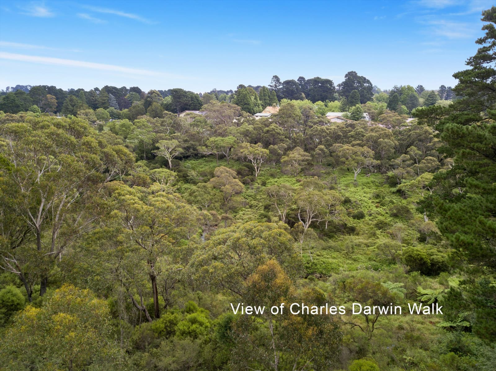 4 William Avenue,Wentworth Falls, Wentworth Falls - Thumbnail 6