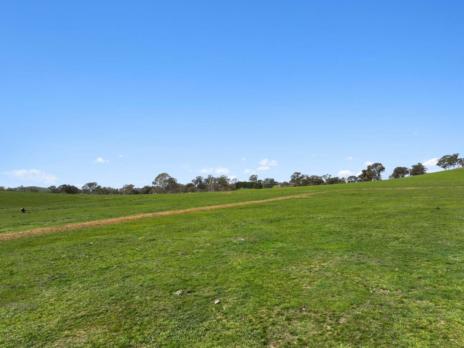 108 Loyola Drive,Mansfield, Mansfield - Thumbnail 3
