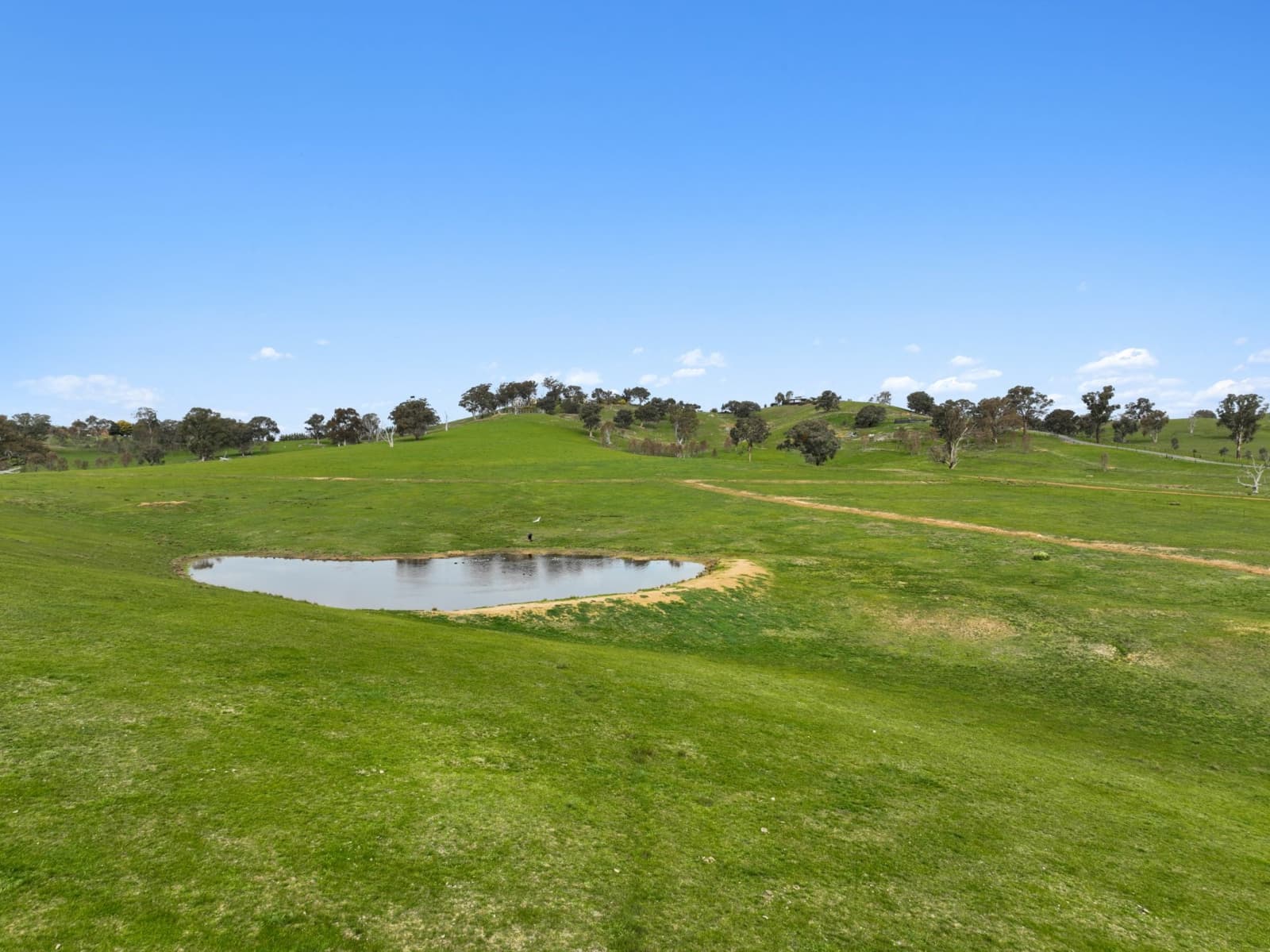 108 Loyola Drive,Mansfield, Mansfield - Thumbnail 4
