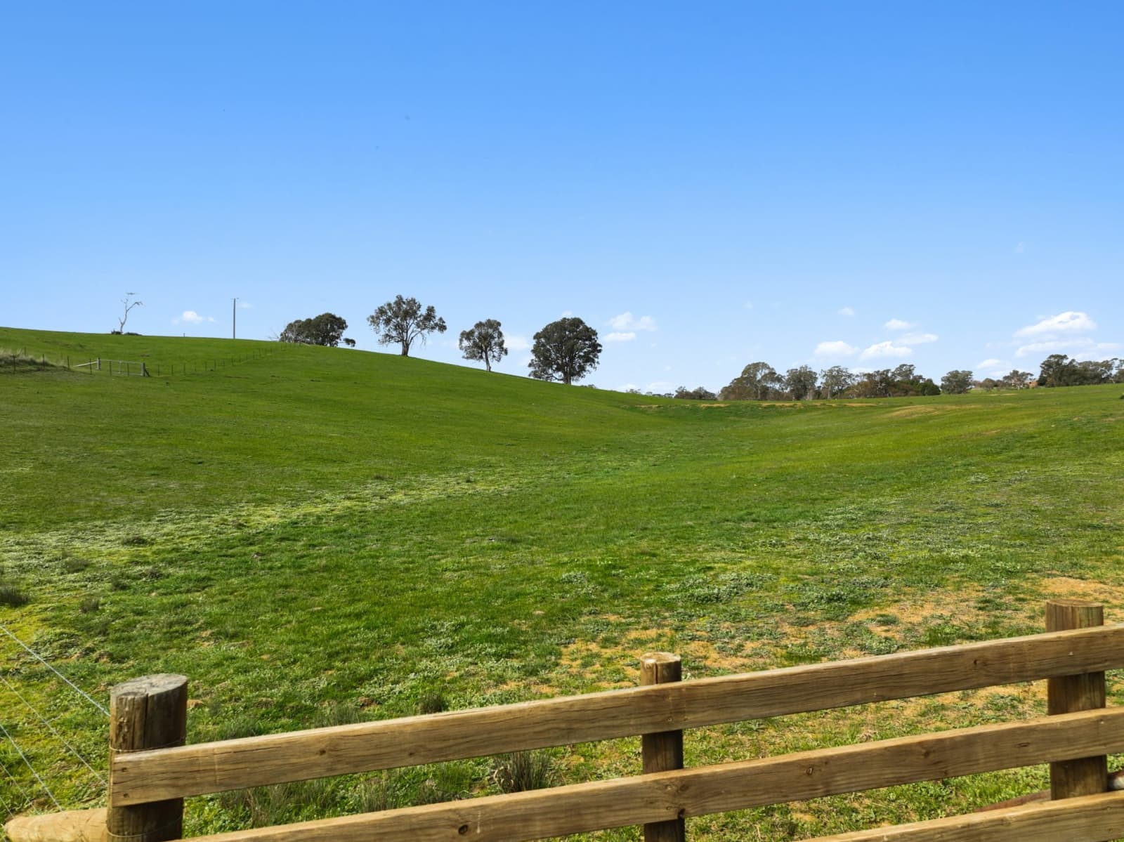 108 Loyola Drive,Mansfield, Mansfield - Thumbnail 6
