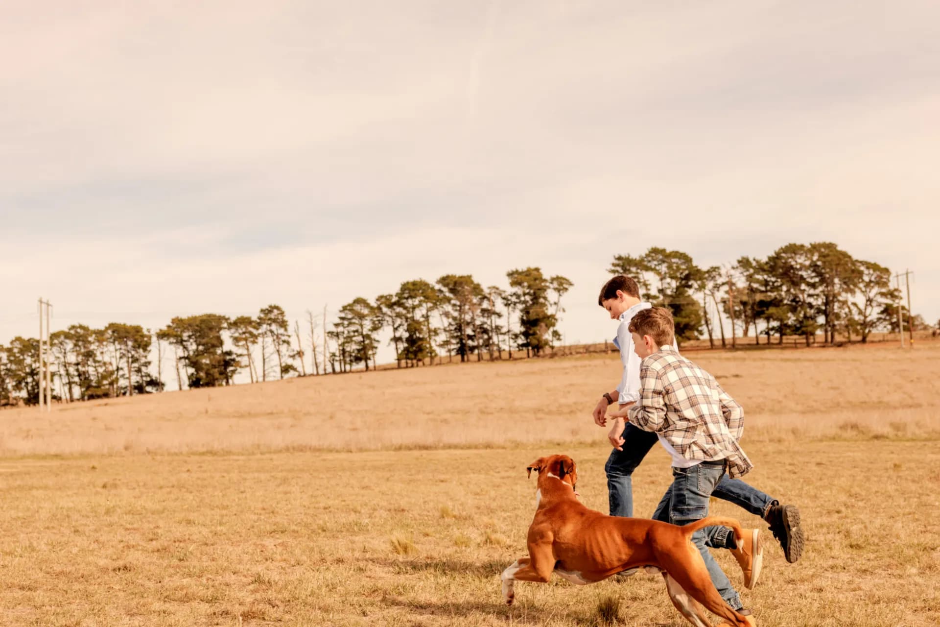 Lot 7, 2155 Sutton Road, Sutton, NSW, Sutton - Thumbnail 7