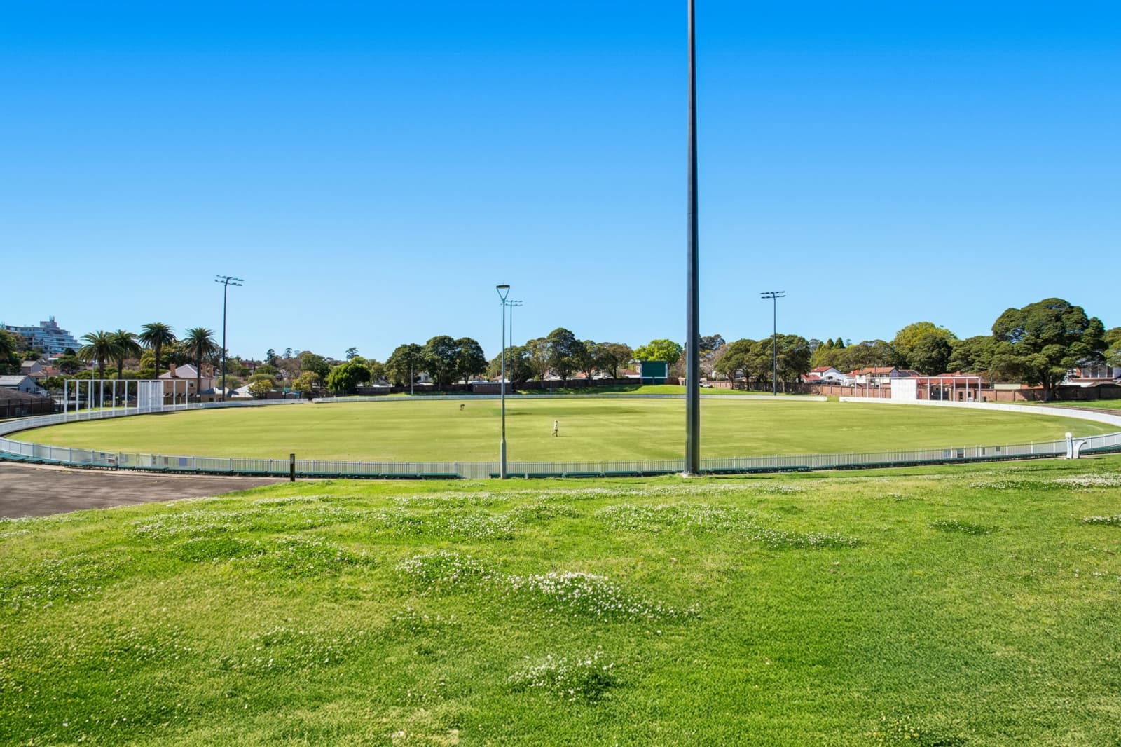 203/1A Orchard Crescent,Ashfield, Ashfield - Thumbnail 7