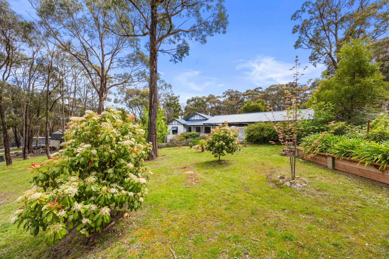 66 Dales Creek Avenue,Dales Creek, Dales Creek - Thumbnail 3