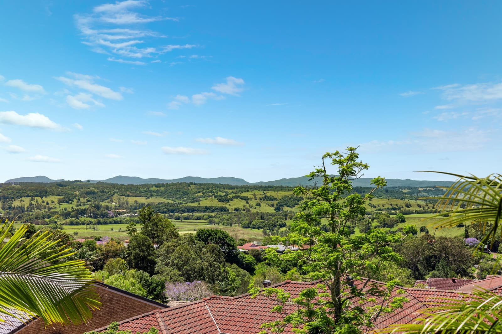 25 Barr Scott Drive,Lismore Heights, Lismore Heights - Thumbnail 4