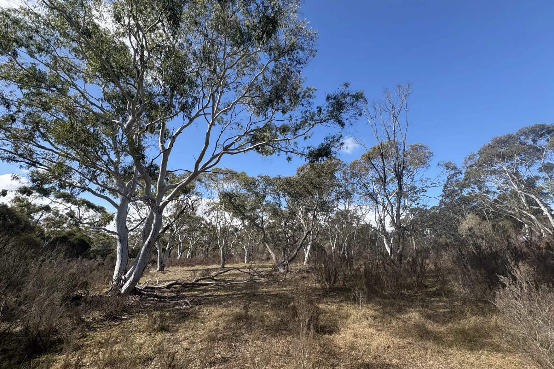 80 Farringdon  Road, Braidwood., Rhodes - Image 1