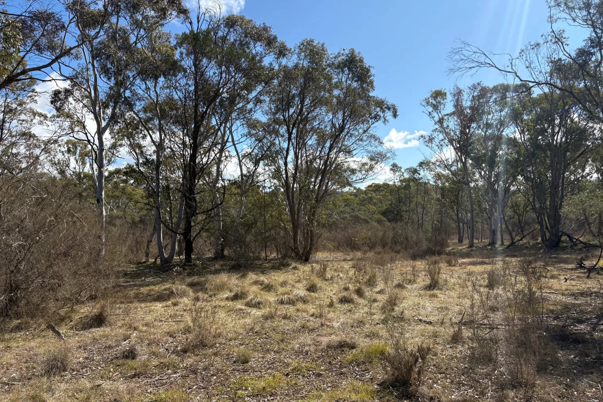 80 Farringdon  Road, Braidwood., Rhodes - Thumbnail 3