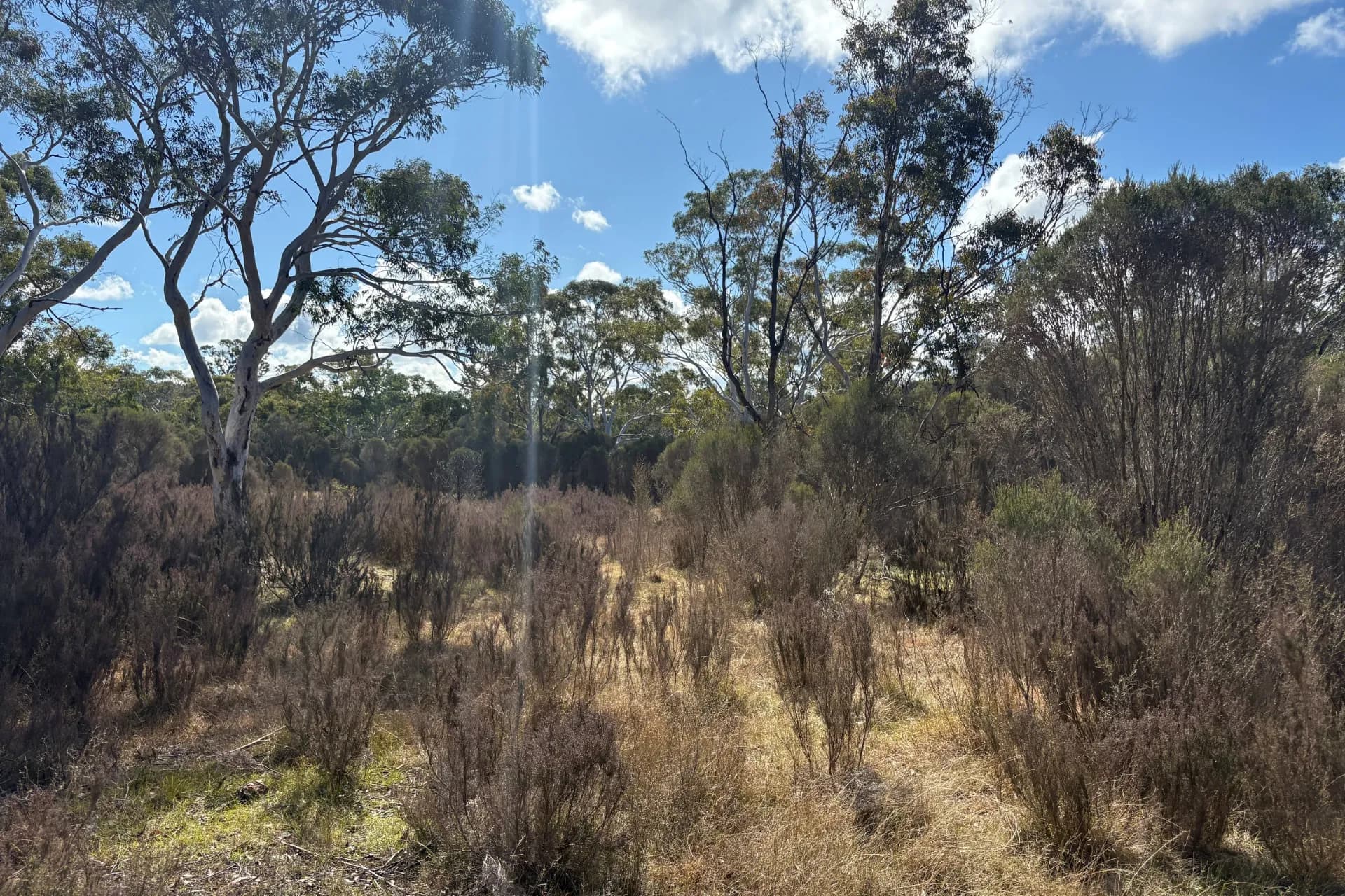 80 Farringdon  Road, Braidwood., Rhodes - Thumbnail 4