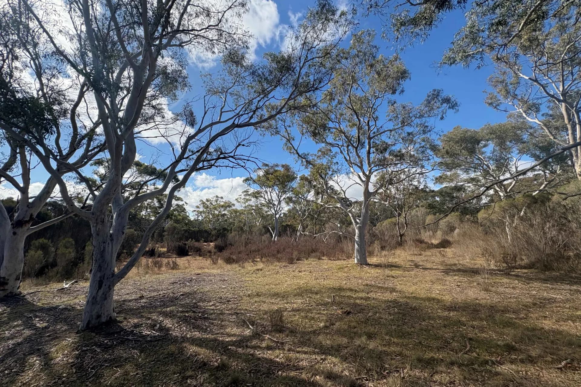 80 Farringdon  Road, Braidwood., Rhodes - Thumbnail 5