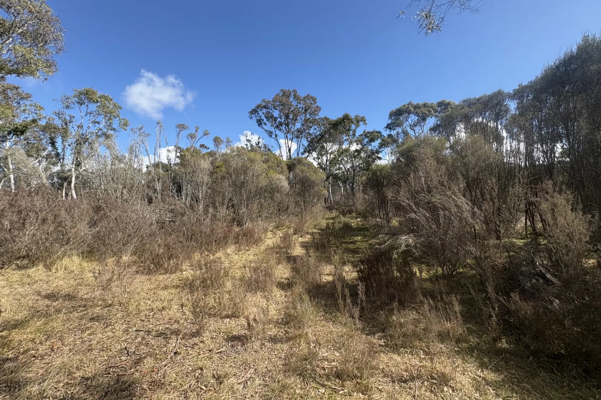 80 Farringdon  Road, Braidwood., Rhodes - Thumbnail 6