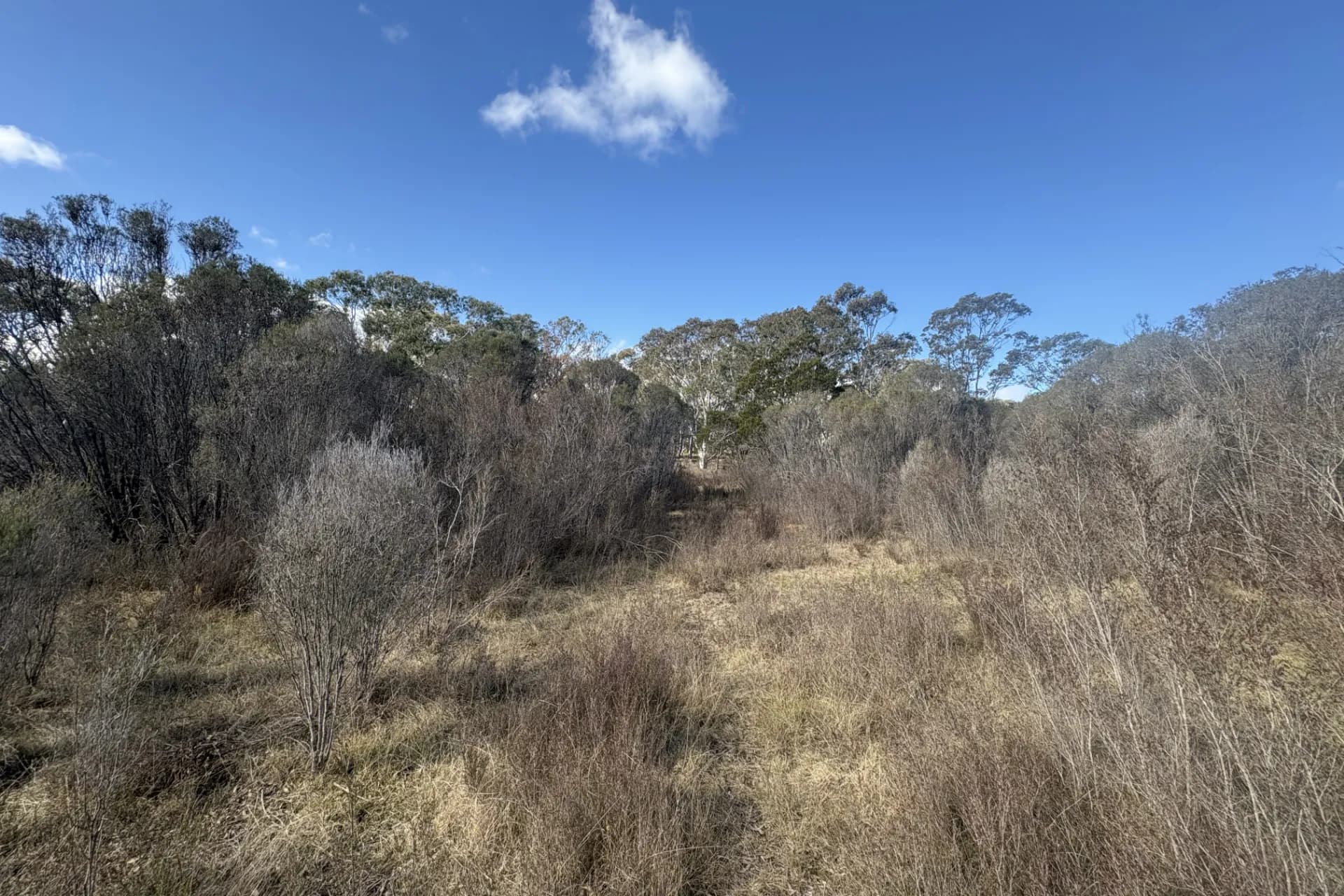 80 Farringdon  Road, Braidwood., Rhodes - Thumbnail 7