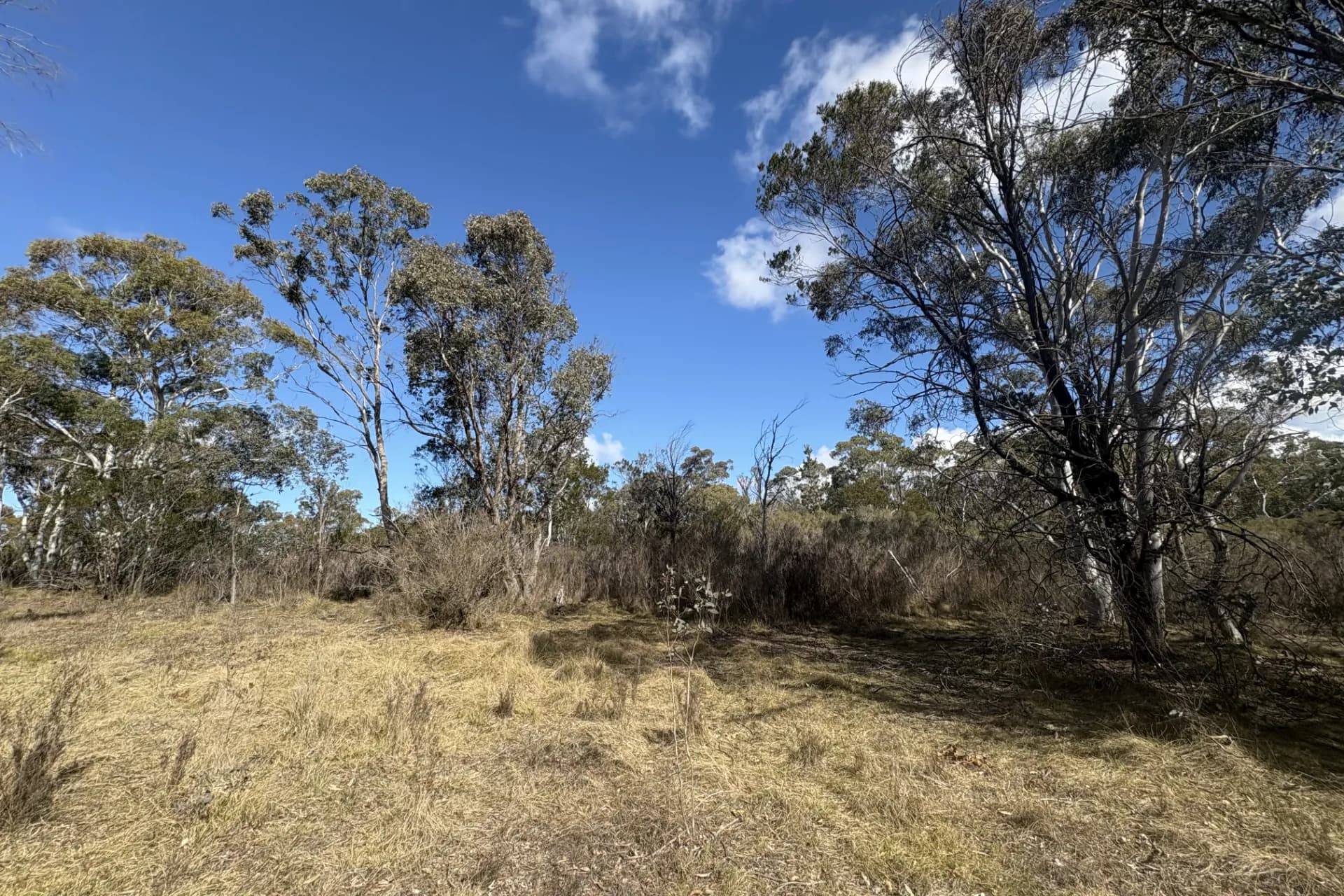 80 Farringdon  Road, Braidwood., Rhodes - Thumbnail 8