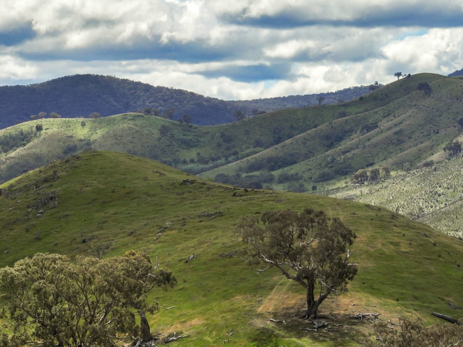 112 Dry Creek Road,Bonnie Doon, Bonnie Doon - Thumbnail 3