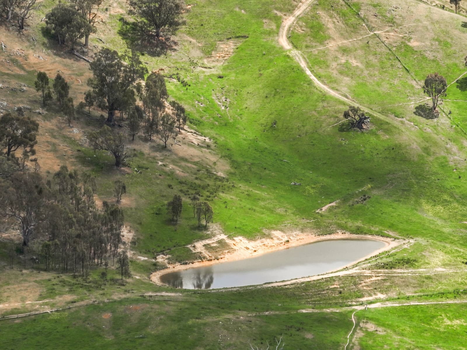 112 Dry Creek Road,Bonnie Doon, Bonnie Doon - Thumbnail 7