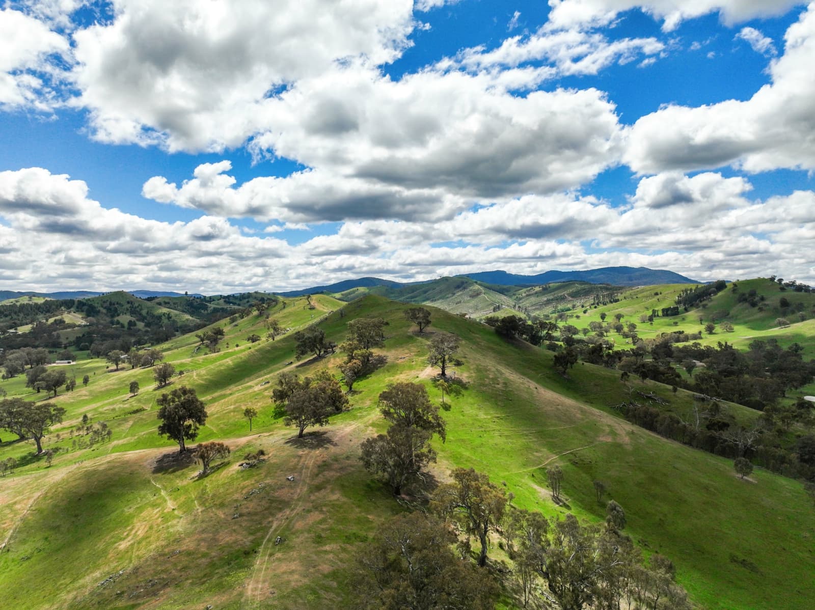 112 Dry Creek Road,Bonnie Doon, Bonnie Doon - Thumbnail 8