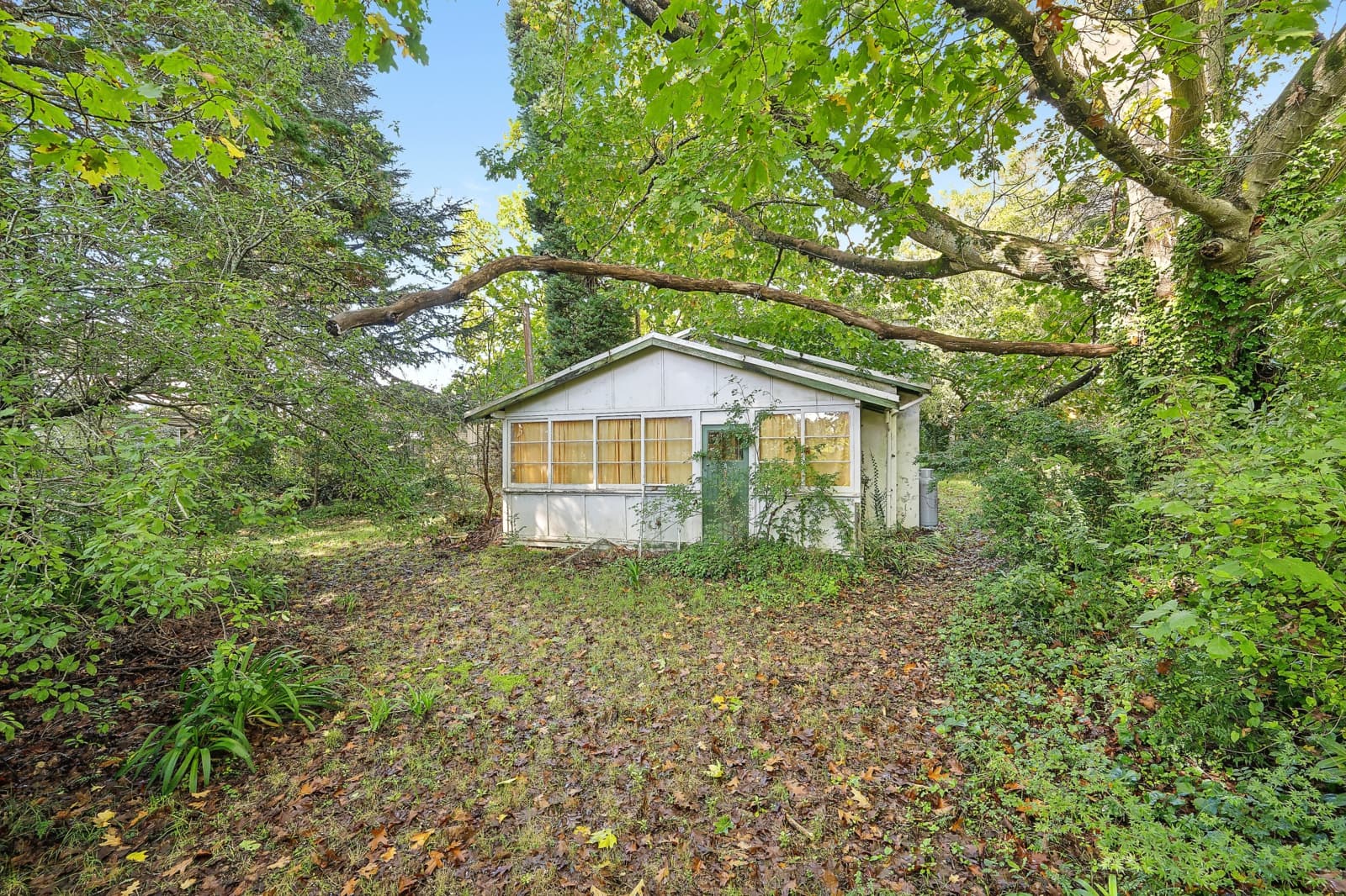 66 Waratah Road,Wentworth Falls, Wentworth Falls - Image 1