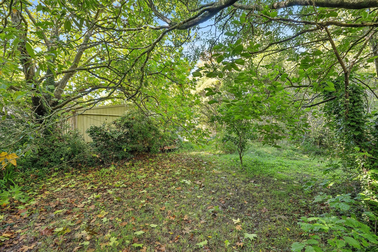 66 Waratah Road,Wentworth Falls, Wentworth Falls - Thumbnail 4