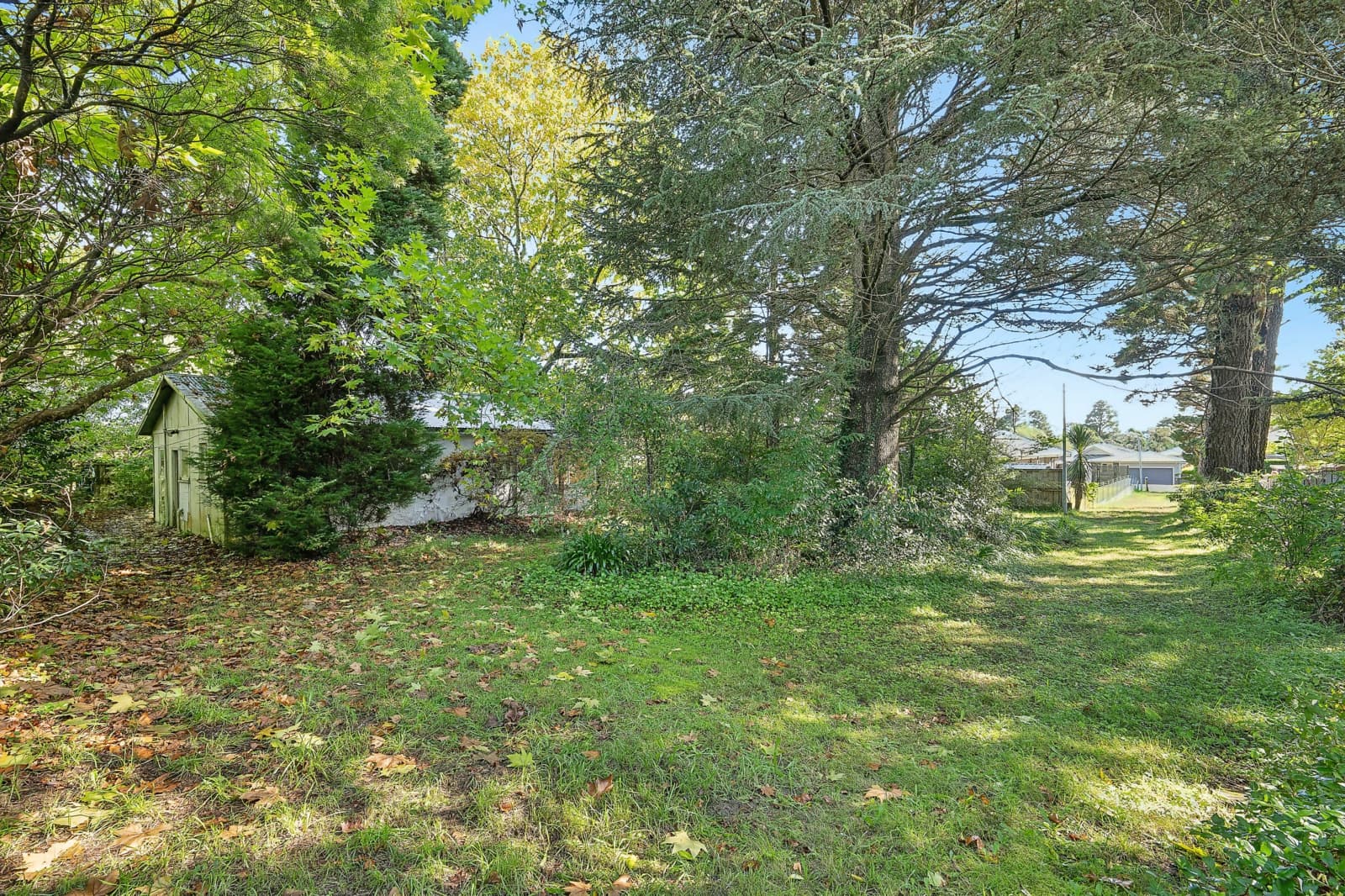 66 Waratah Road,Wentworth Falls, Wentworth Falls - Thumbnail 5