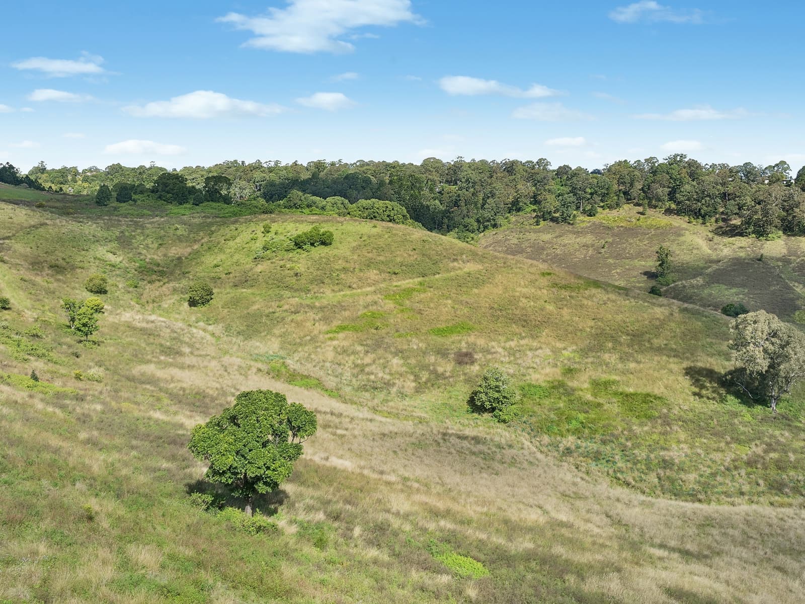 97 Pineapple Road, Goonellabah - Thumbnail 4