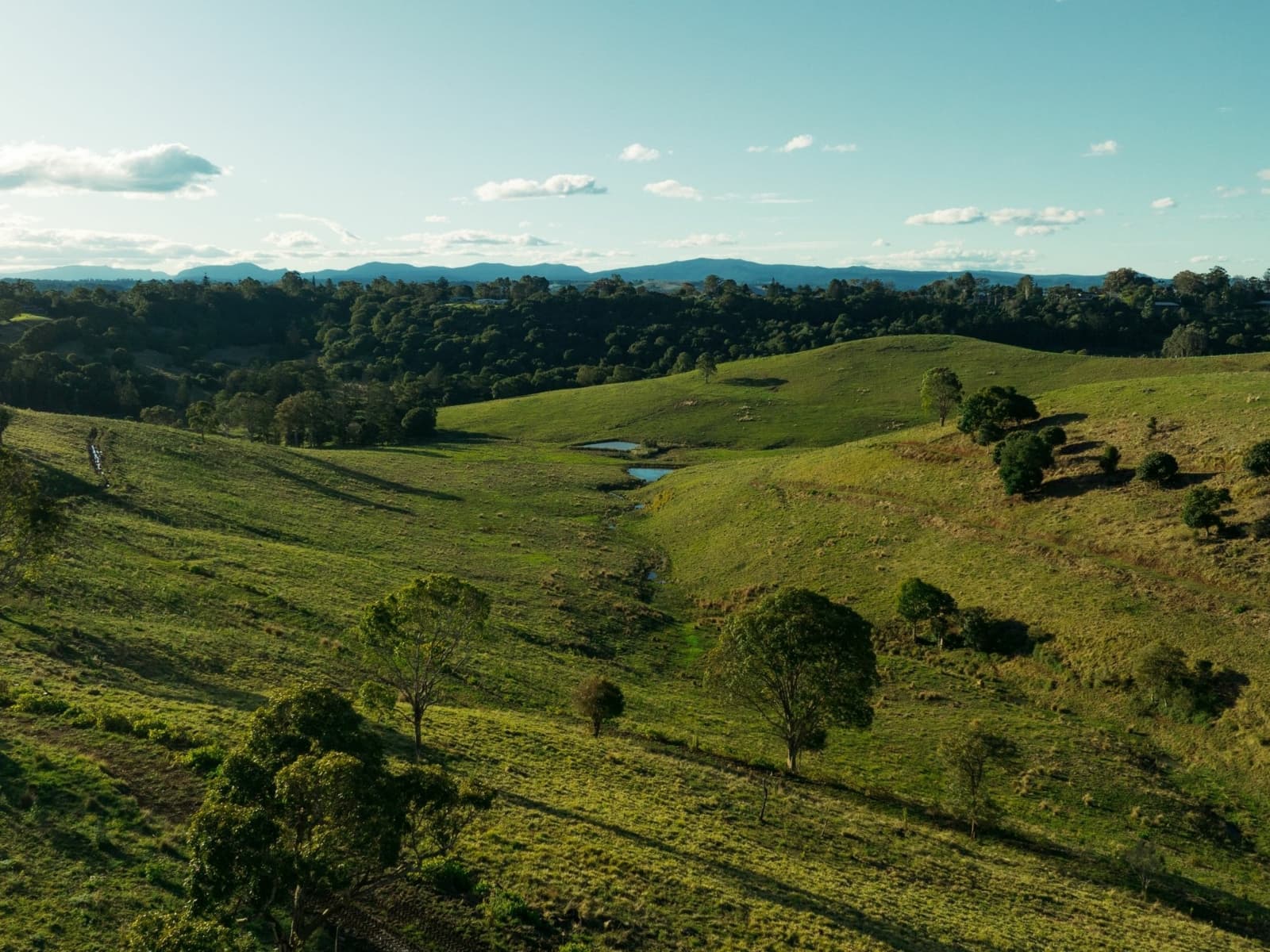 97 Pineapple Road, Goonellabah - Thumbnail 8