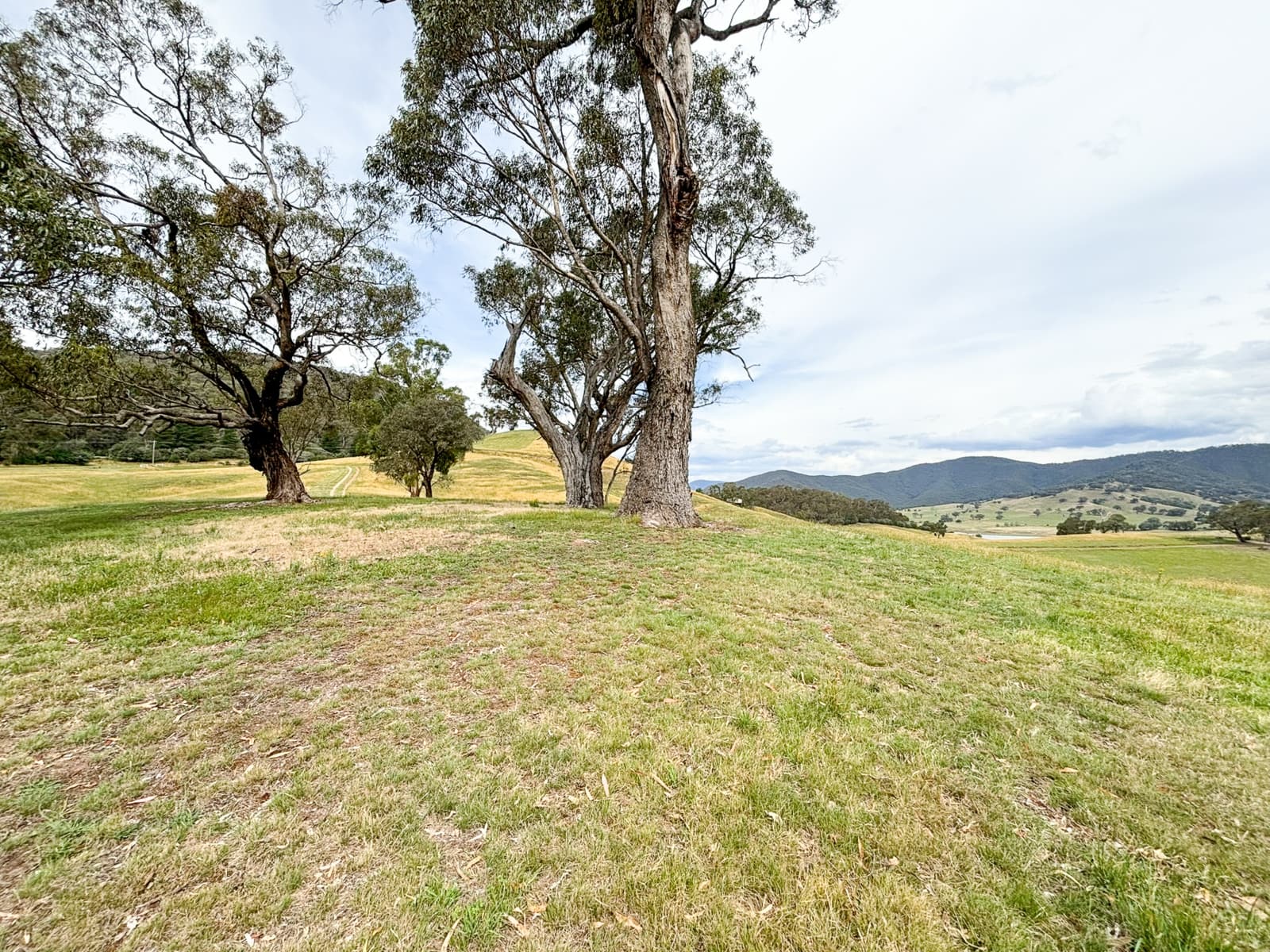 2096 Mansfield-Woods Point Road,Macs Cove, Macs Cove - Thumbnail 2