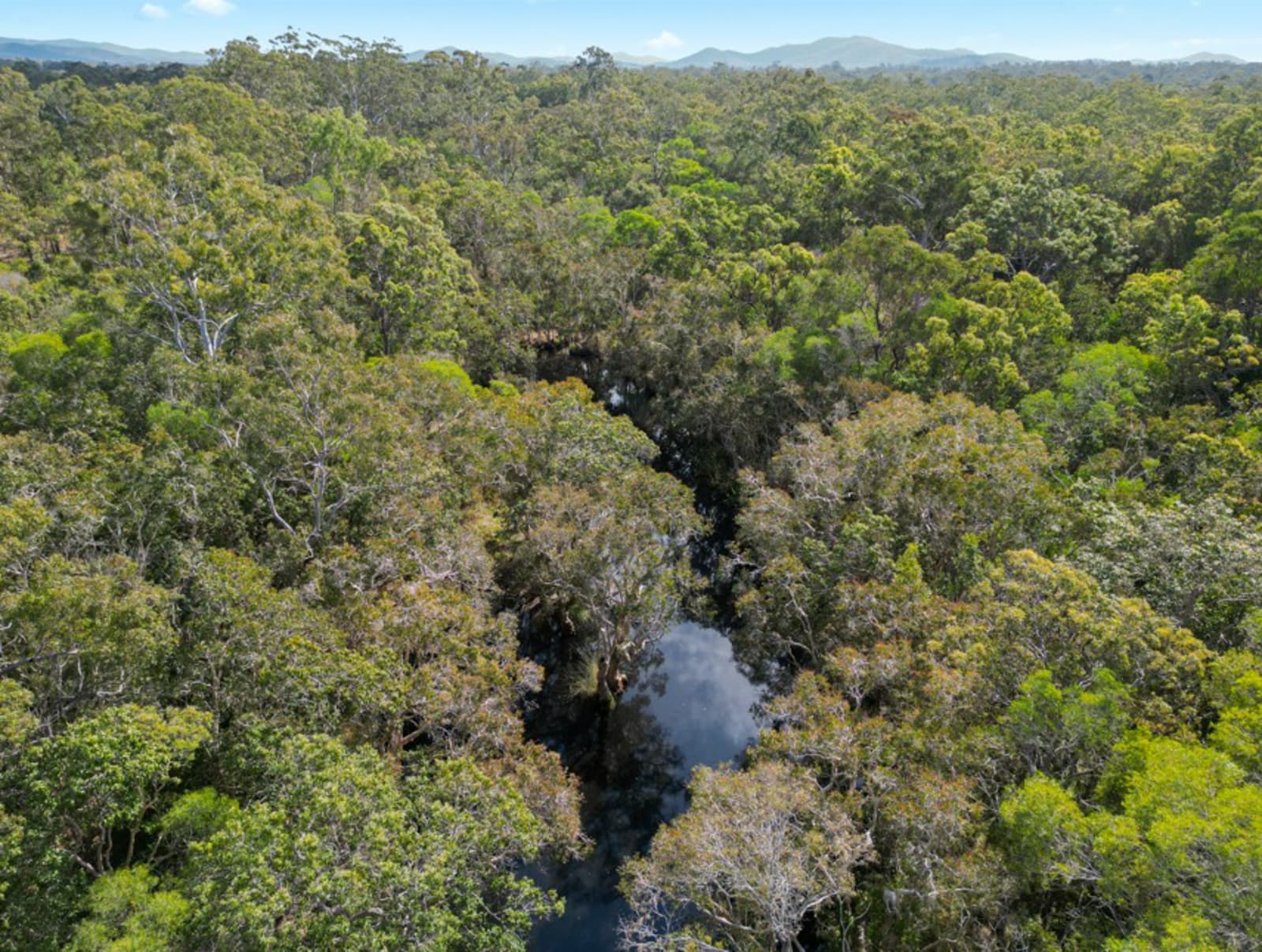 Round Hill Road, Captain Creek - Thumbnail 3
