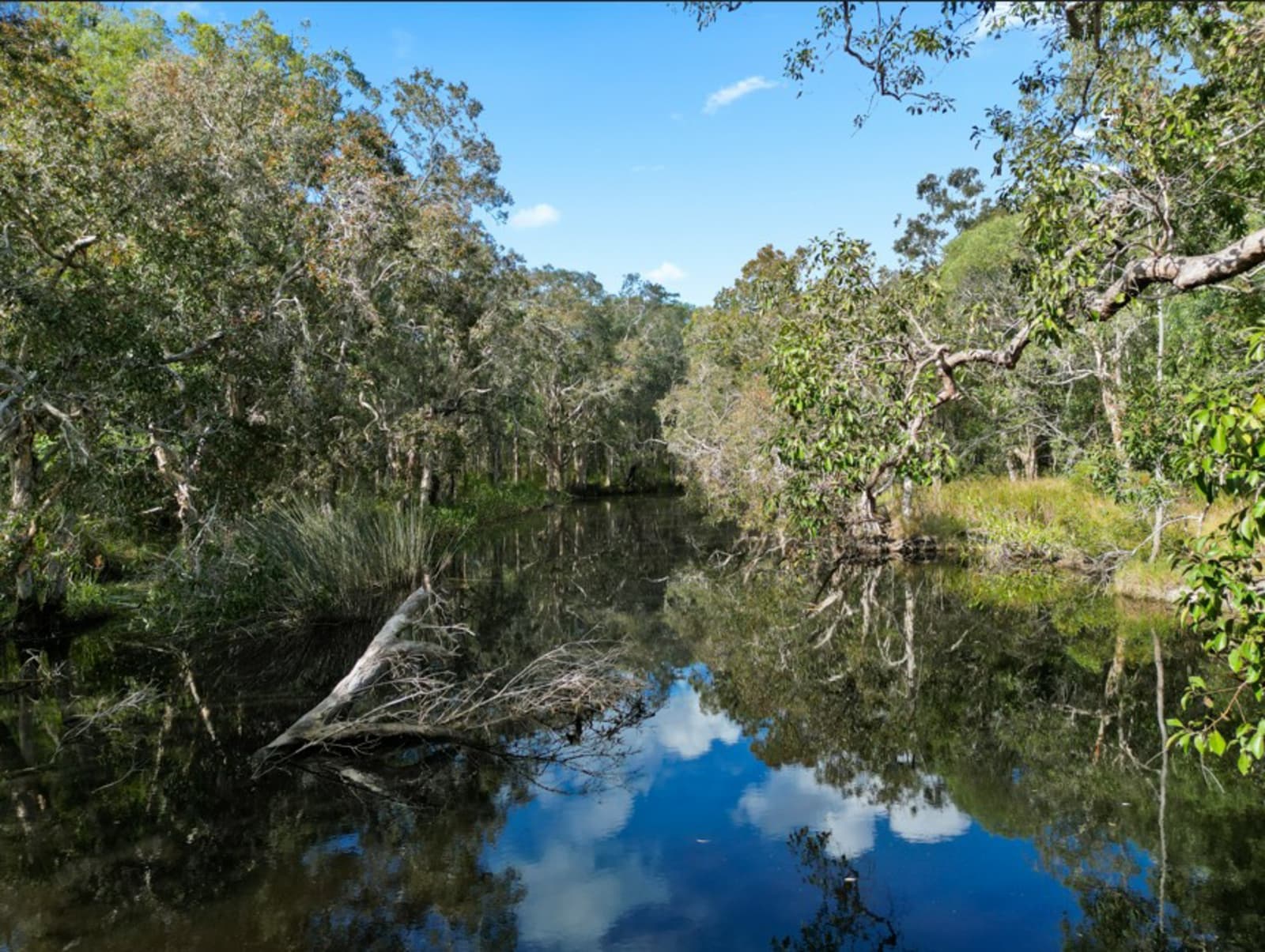Round Hill Road, Captain Creek - Thumbnail 6