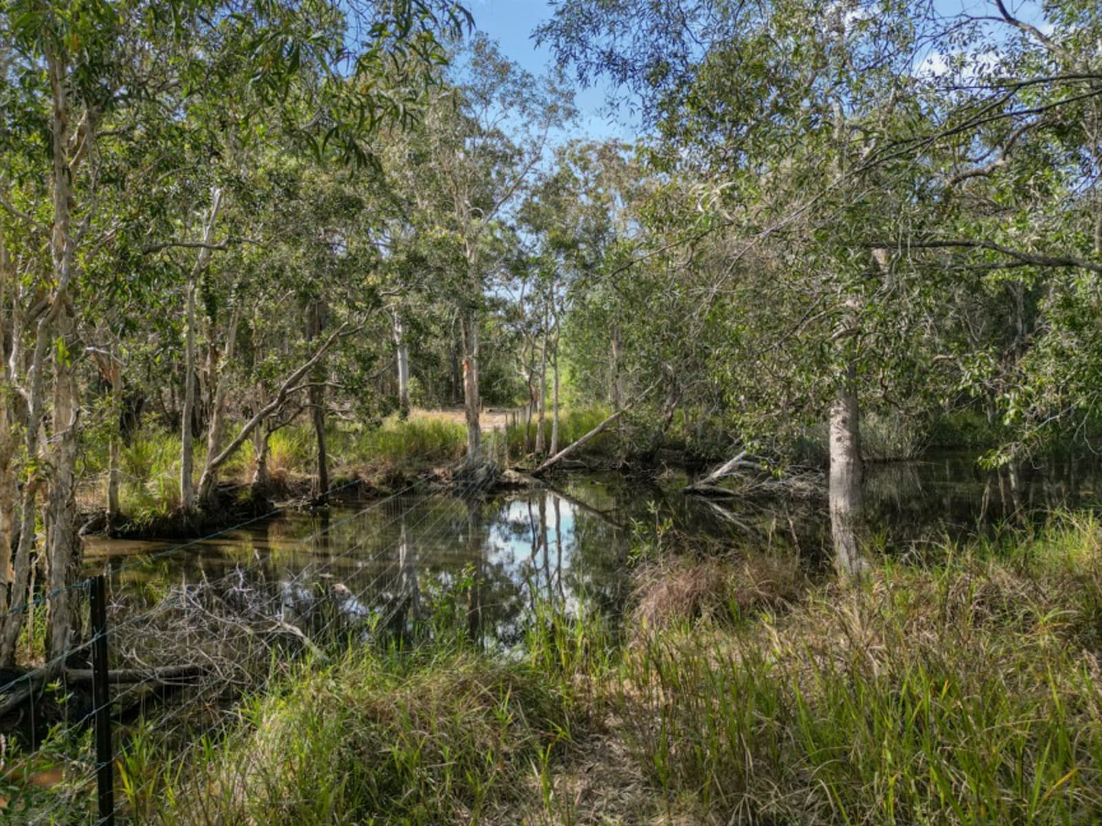 Round Hill Road, Captain Creek - Thumbnail 7