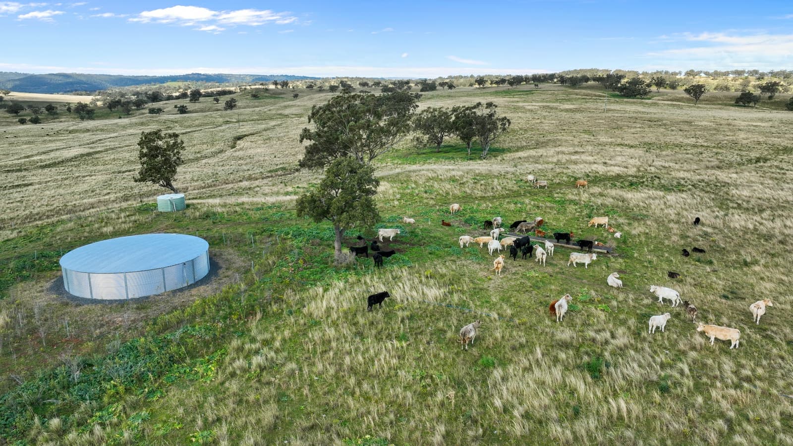 2741 Bunnan Road,Bunnan, Bunnan - Thumbnail 4