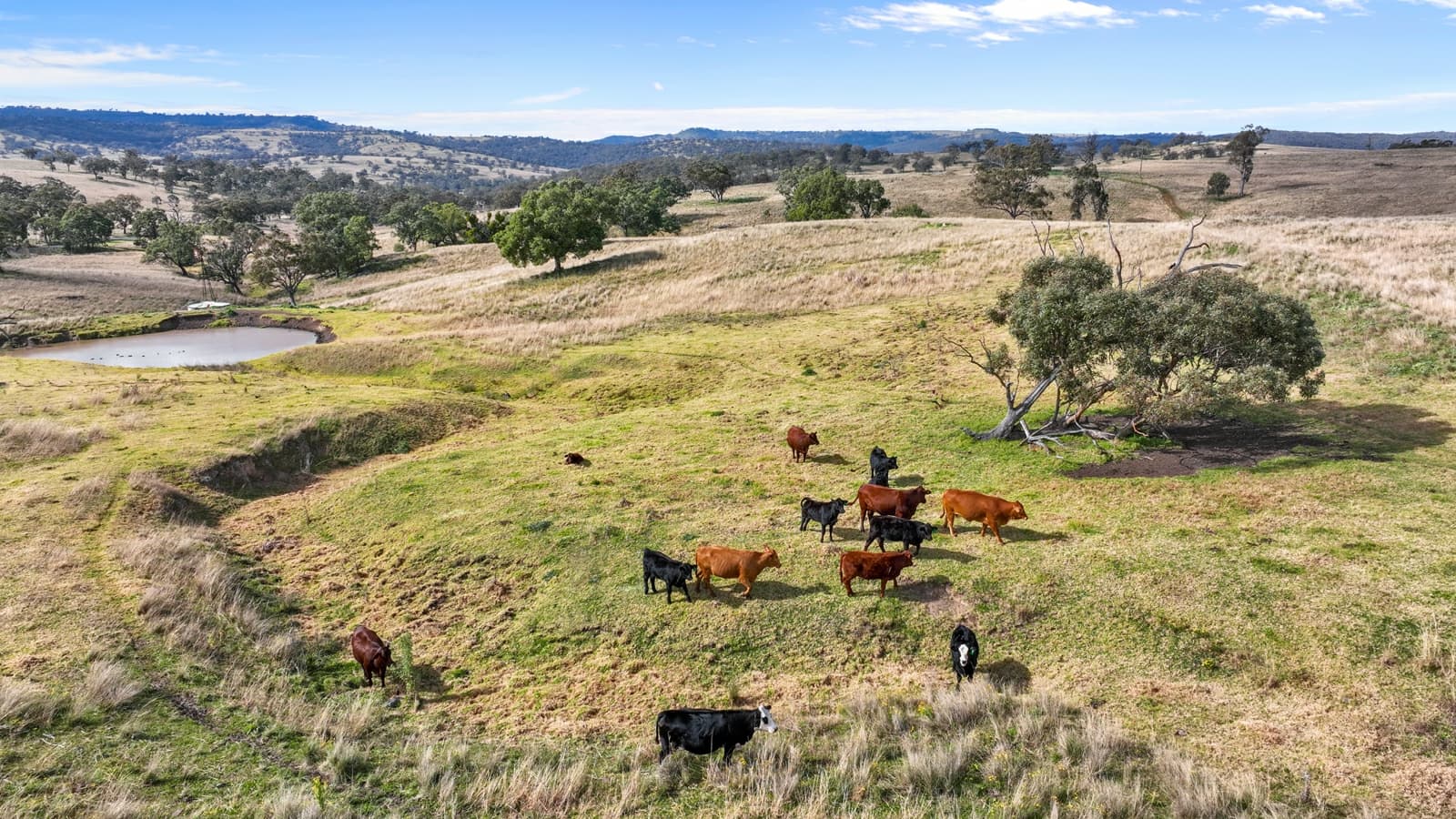 2741 Bunnan Road,Bunnan, Bunnan - Thumbnail 7