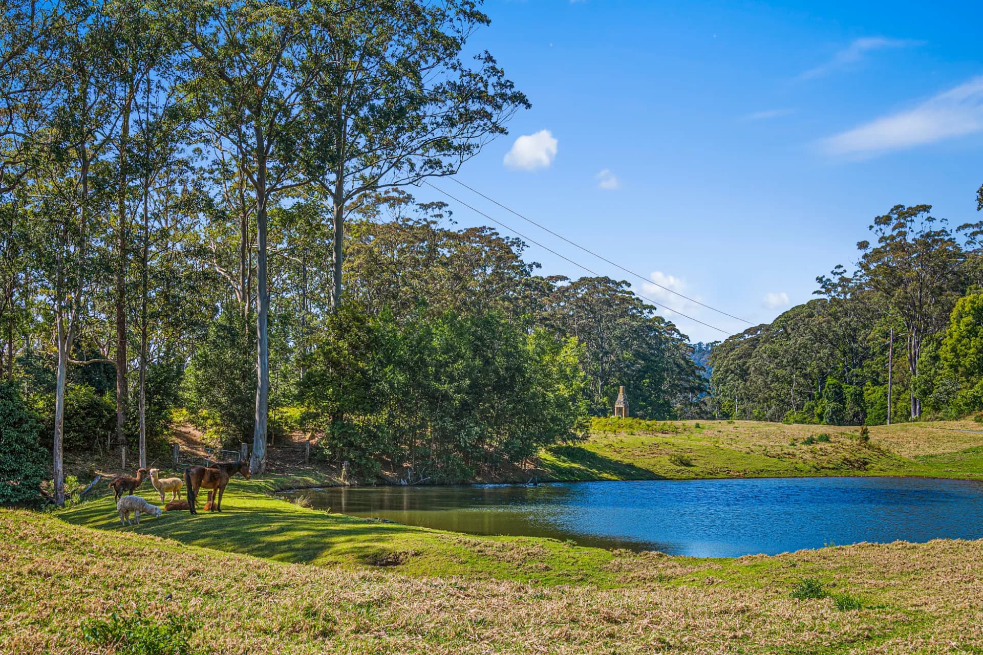 1045D Moss Vale Road, Beaumont - Thumbnail 4