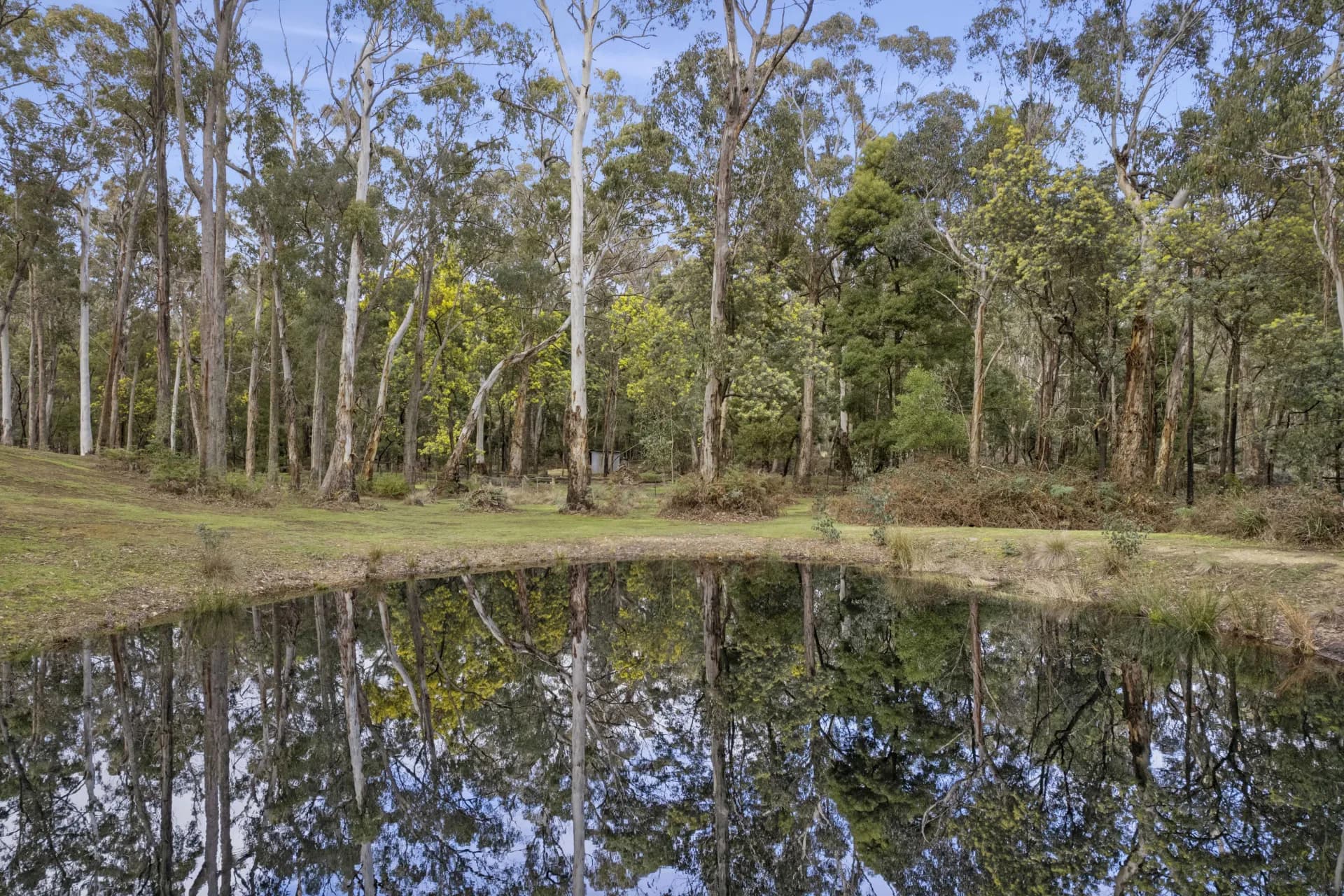60 Lightwood Drive, Wheatsheaf, VIC, Wheatsheaf - Thumbnail 7