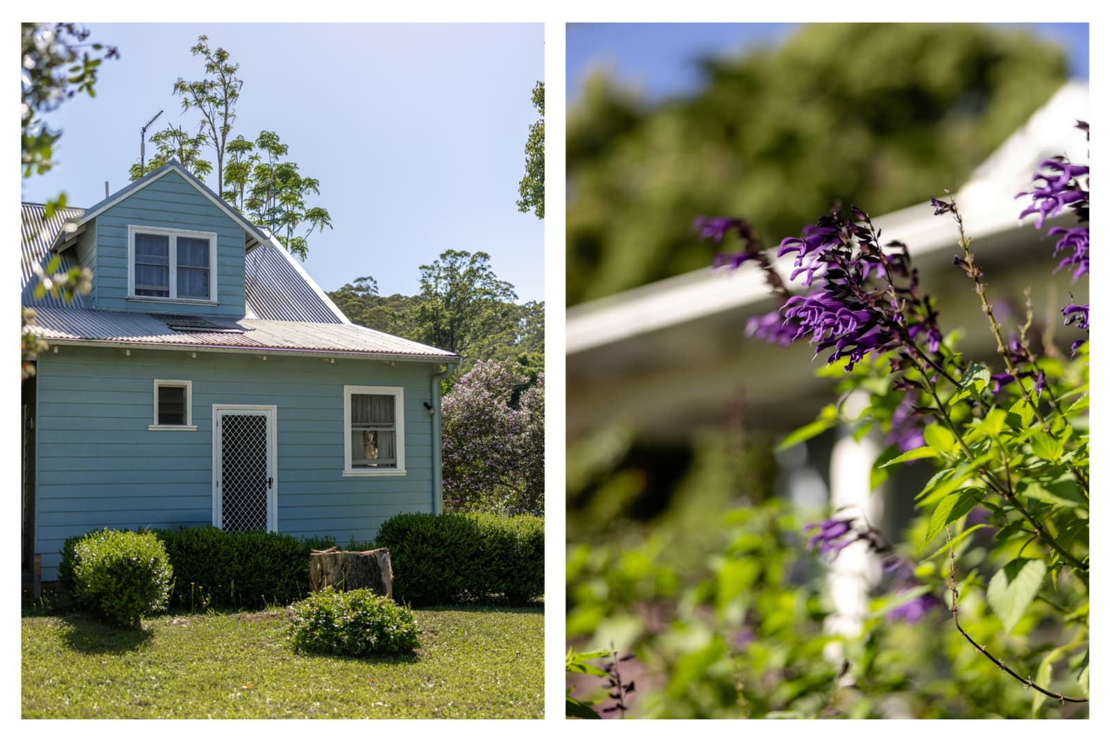 98 Jerusalem Road,Stewarts River, Stewarts River - Image 1
