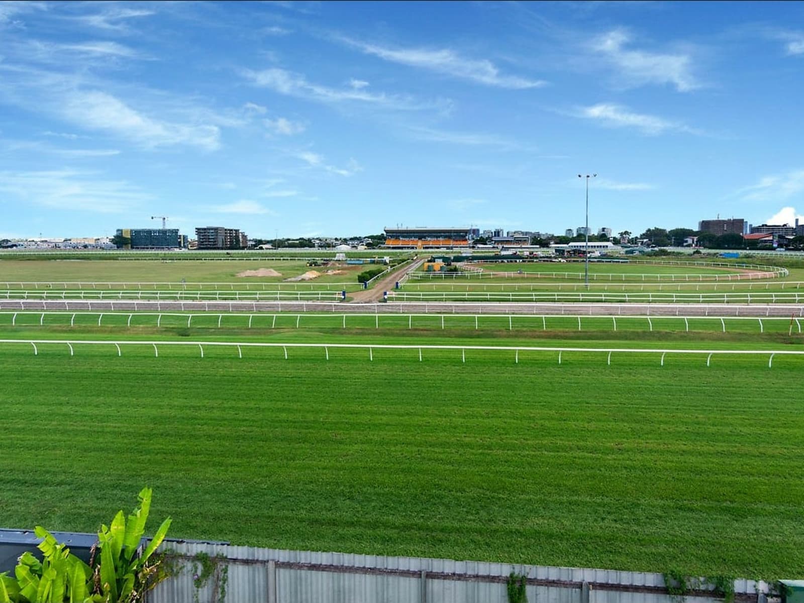 41 Raceview Avenue,Hendra, Hendra - Thumbnail 2
