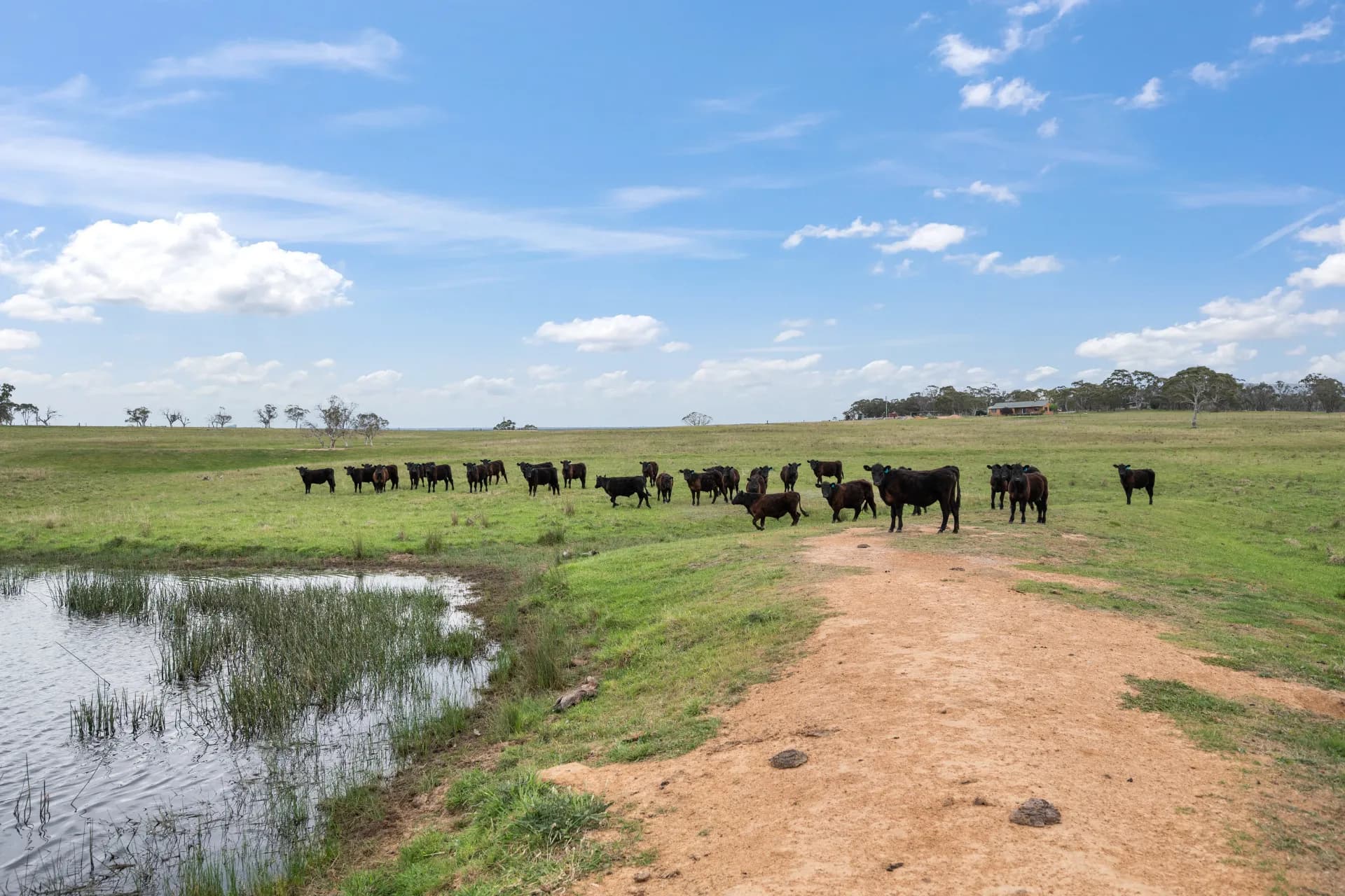536 Cooma Road, Braidwood, NSW, Braidwood - Thumbnail 2