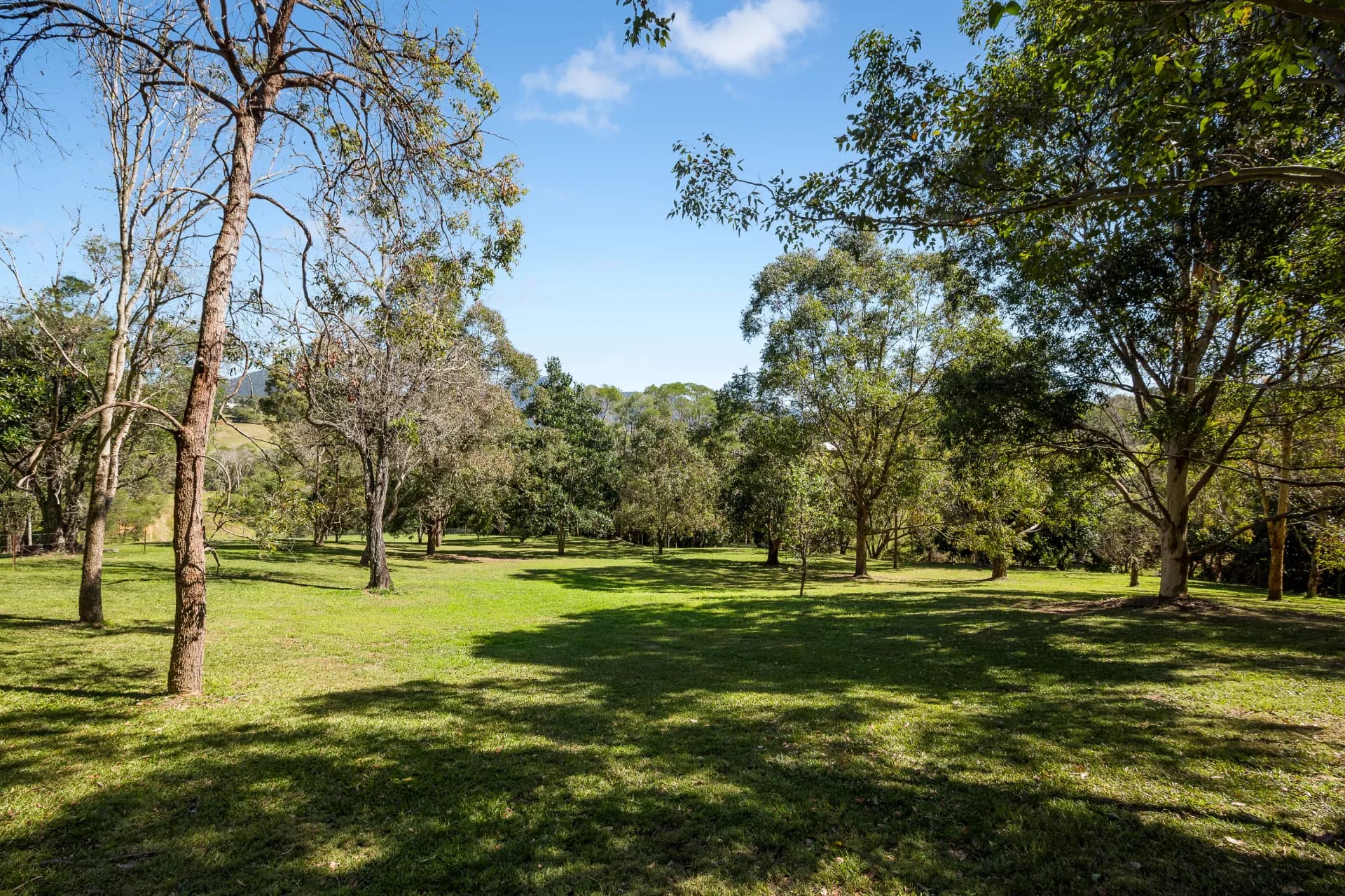 4 Jagera Court, Closeburn, QLD, Closeburn - Thumbnail 3