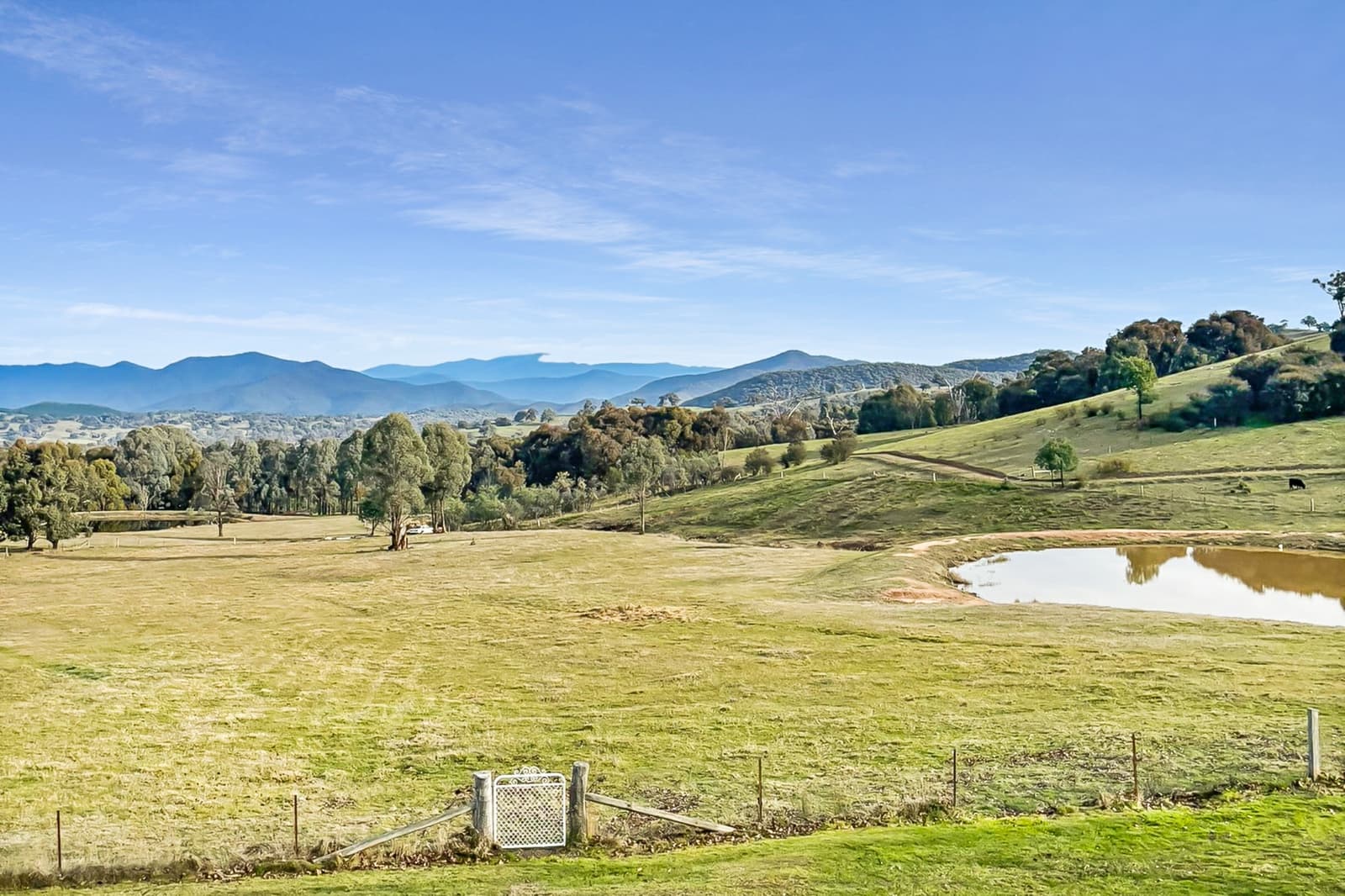 442 Old Tonga Road,Mansfield, Mansfield - Thumbnail 2