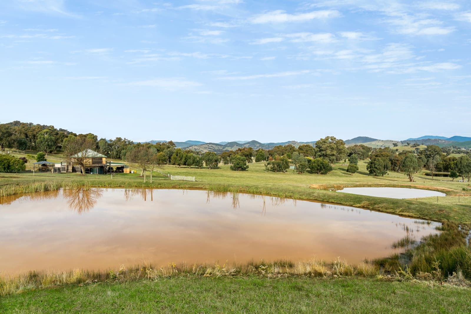 442 Old Tonga Road,Mansfield, Mansfield - Thumbnail 3