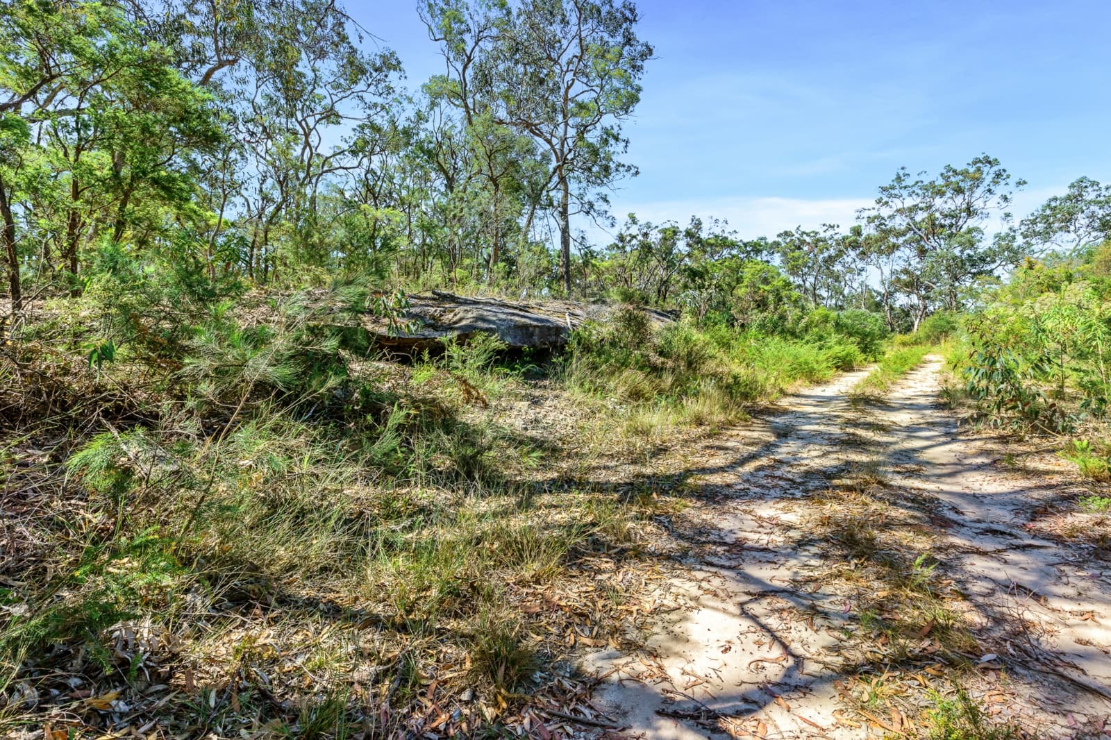 679 Cliftonville Road,Lower Portland, Lower Portland - Thumbnail 2